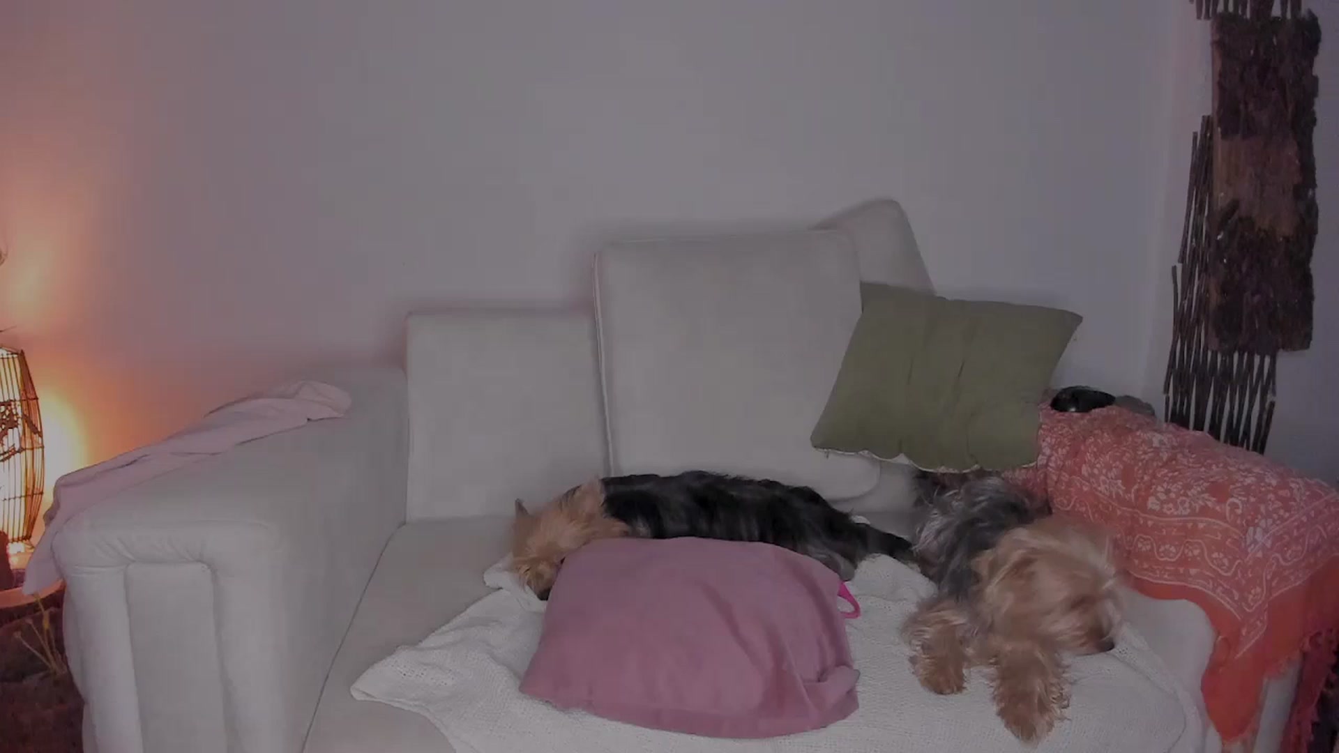 Gallery image thumbnail from Lucy_mar's myfreecams stream on, 04/06/2026, 03:16 image 10 of 20