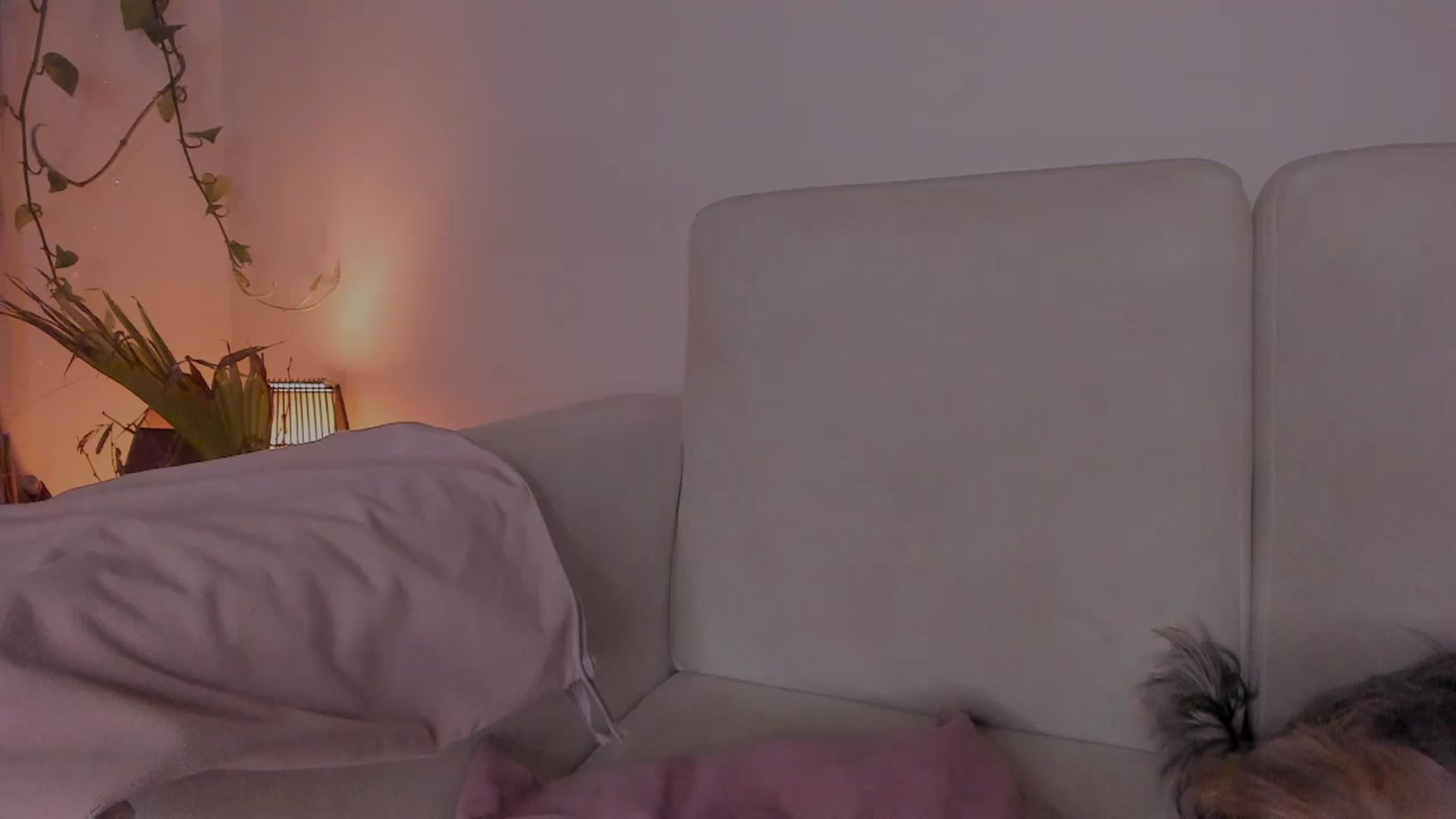 Gallery image thumbnail from Lucy_mar's myfreecams stream on, 04/08/2026, 03:52 image 8 of 20