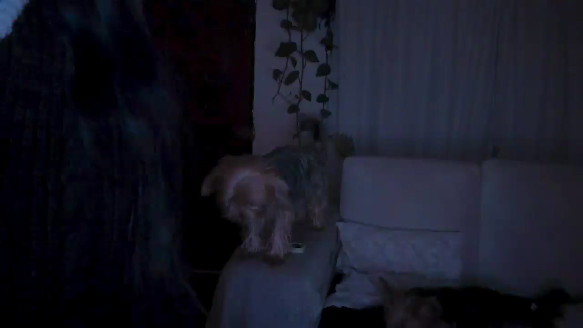 Gallery image thumbnail from Lucy_mar's myfreecams stream on, 05/23/2026, 02:50 image 15 of 20