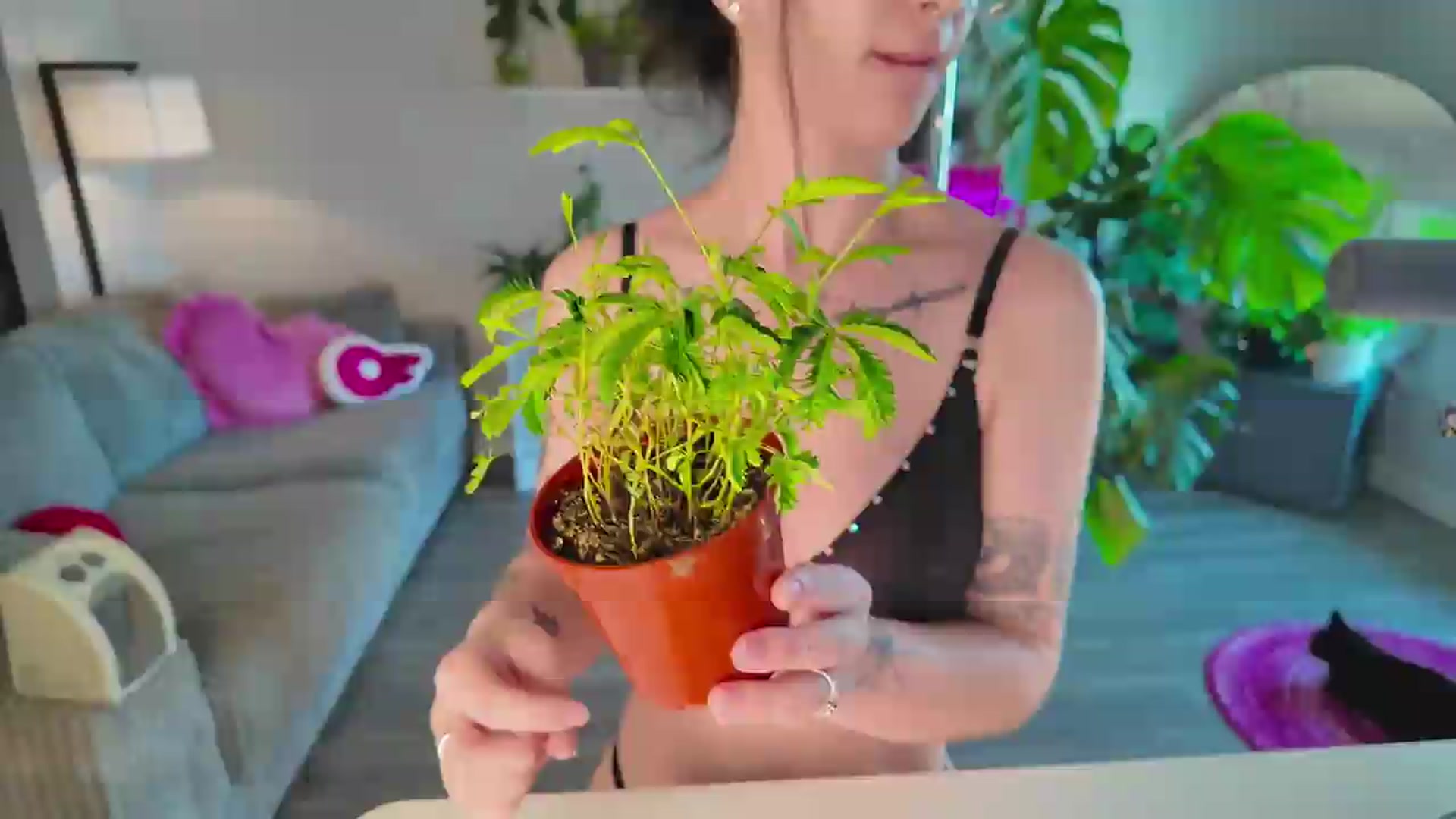 Gallery image thumbnail from Lucyluvs's myfreecams stream on, 07/12/2026, 18:37 image 2 of 20