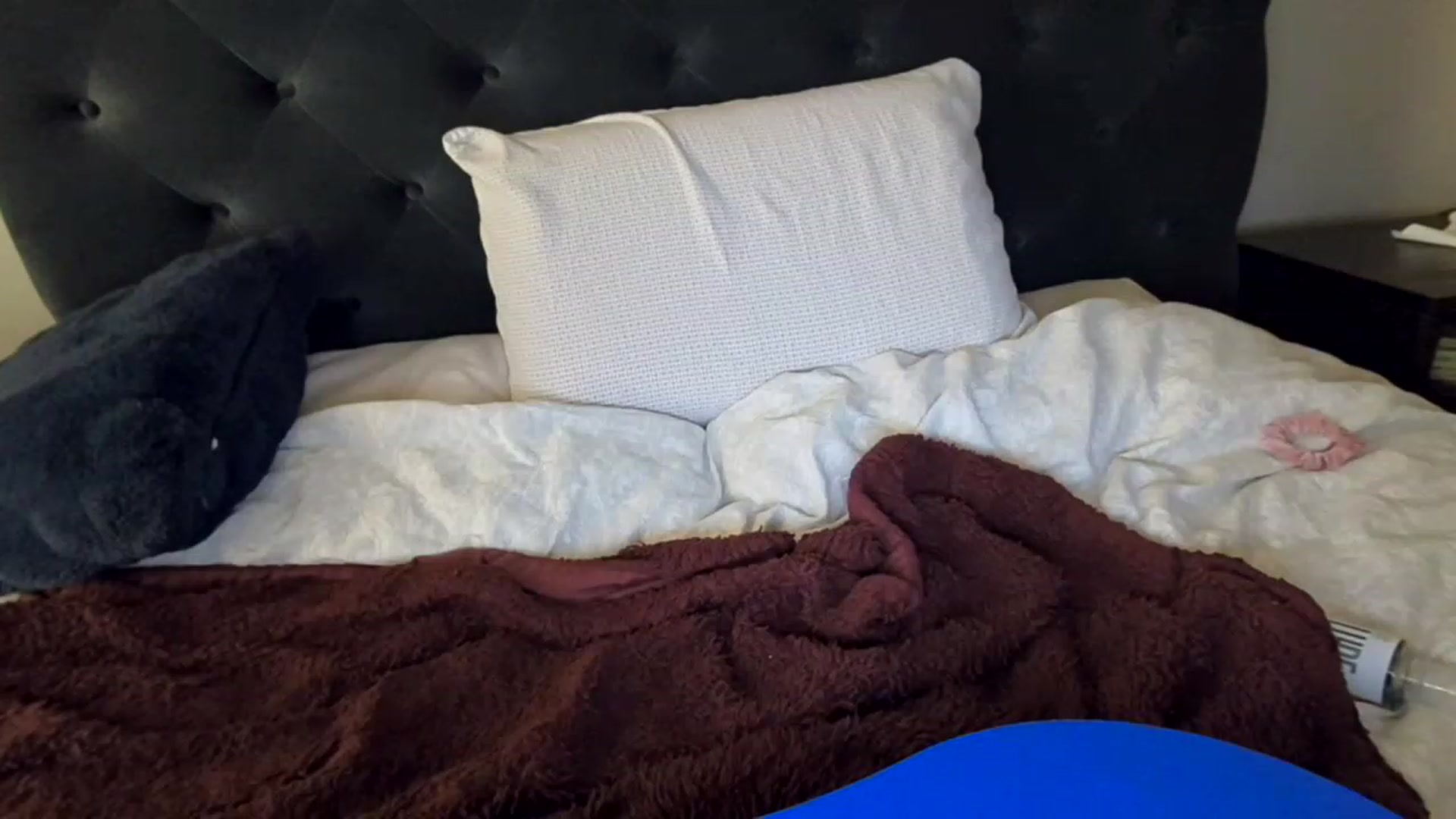 Gallery image thumbnail from Lucylux1's myfreecams stream on, 11/22/2022, 01:16 image 15 of 20