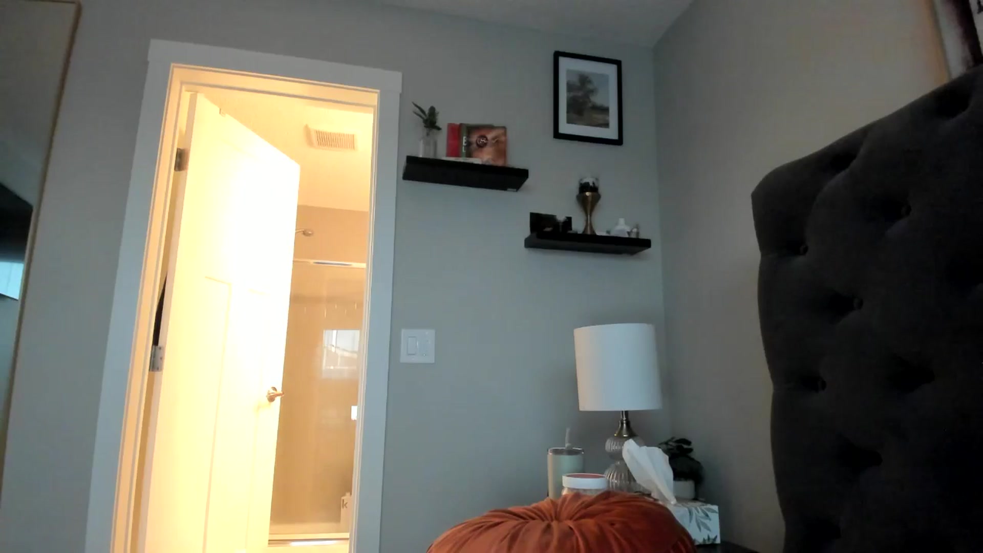 Gallery image thumbnail from Lucylux1's myfreecams stream on, 04/29/2024, 03:30 image 10 of 20