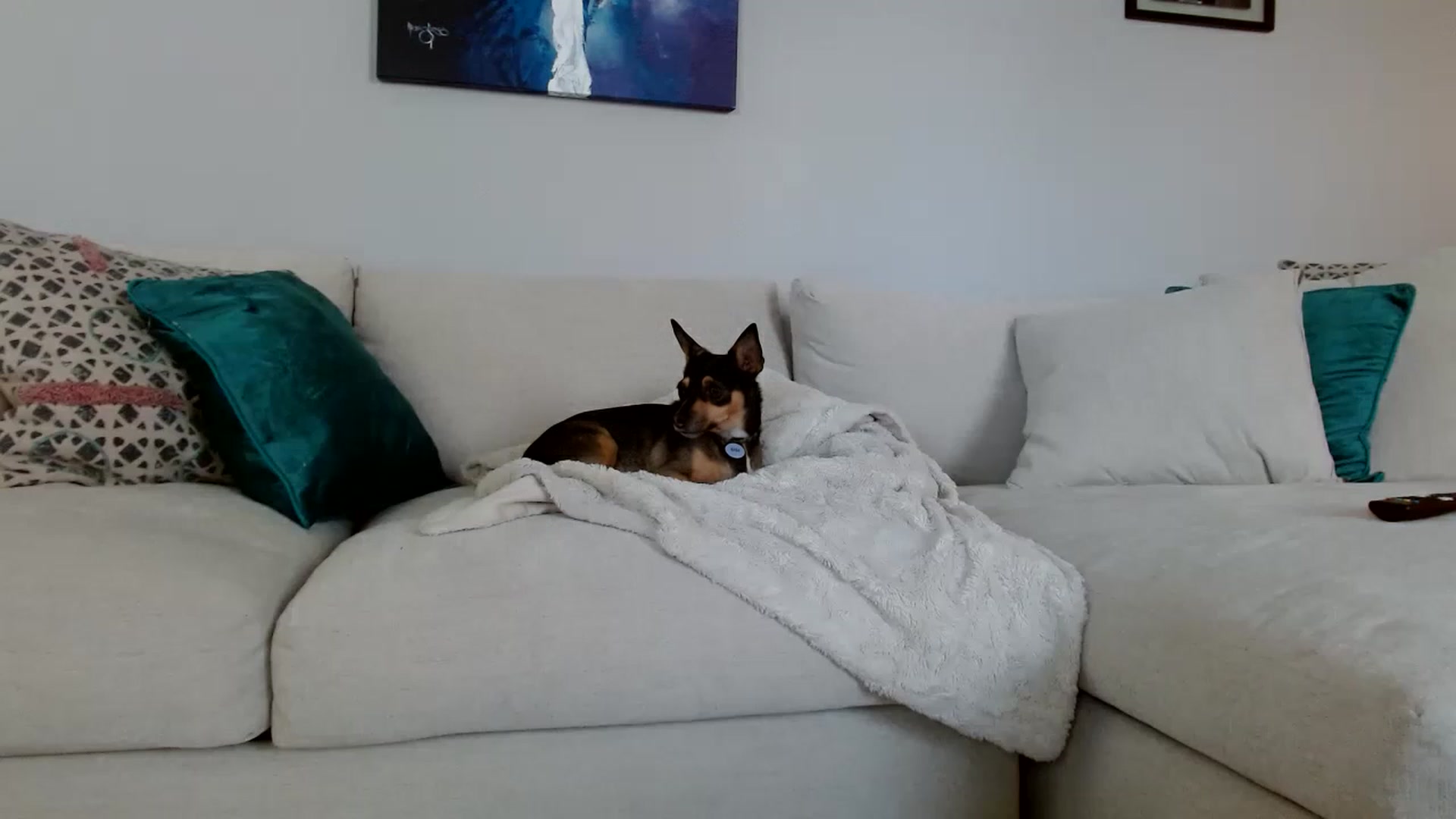 Gallery image thumbnail from Lucyy_fer's myfreecams stream on, 05/27/2023, 23:54 image 16 of 20