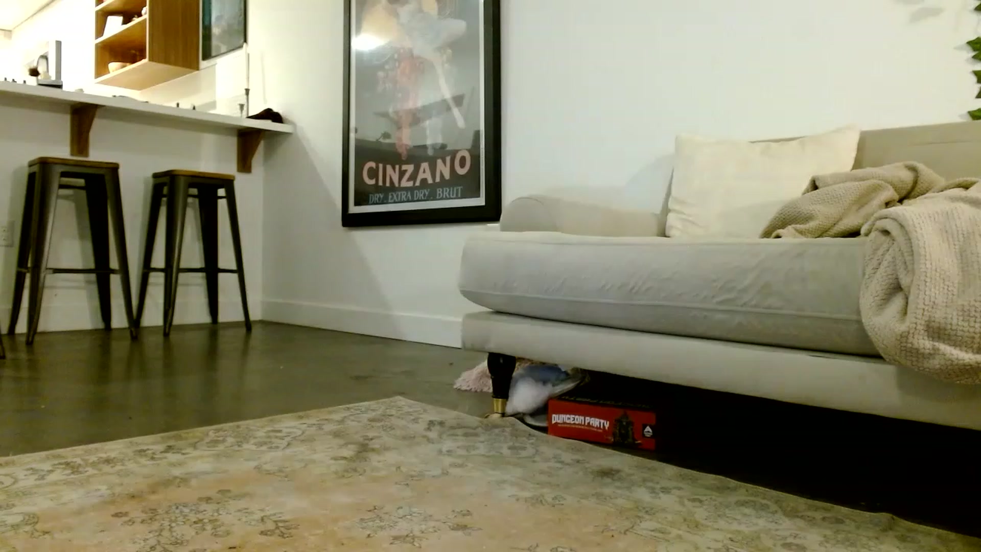 Gallery image thumbnail from Lucyy_fer's myfreecams stream on, 06/27/2023, 05:34 image 16 of 20