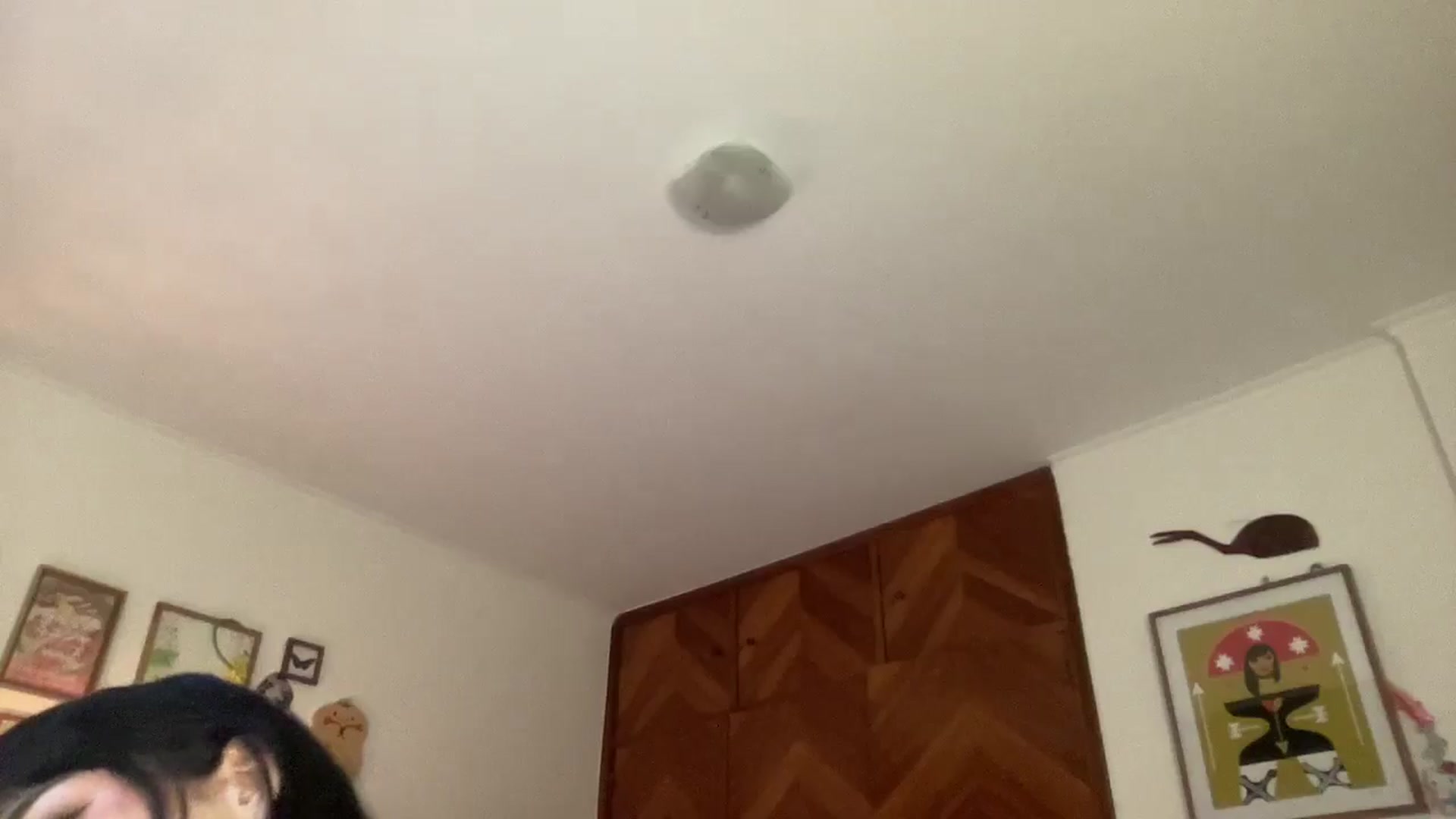 Gallery image thumbnail from LuluArtist's myfreecams stream on, 12/02/2025, 21:38 image 19 of 20