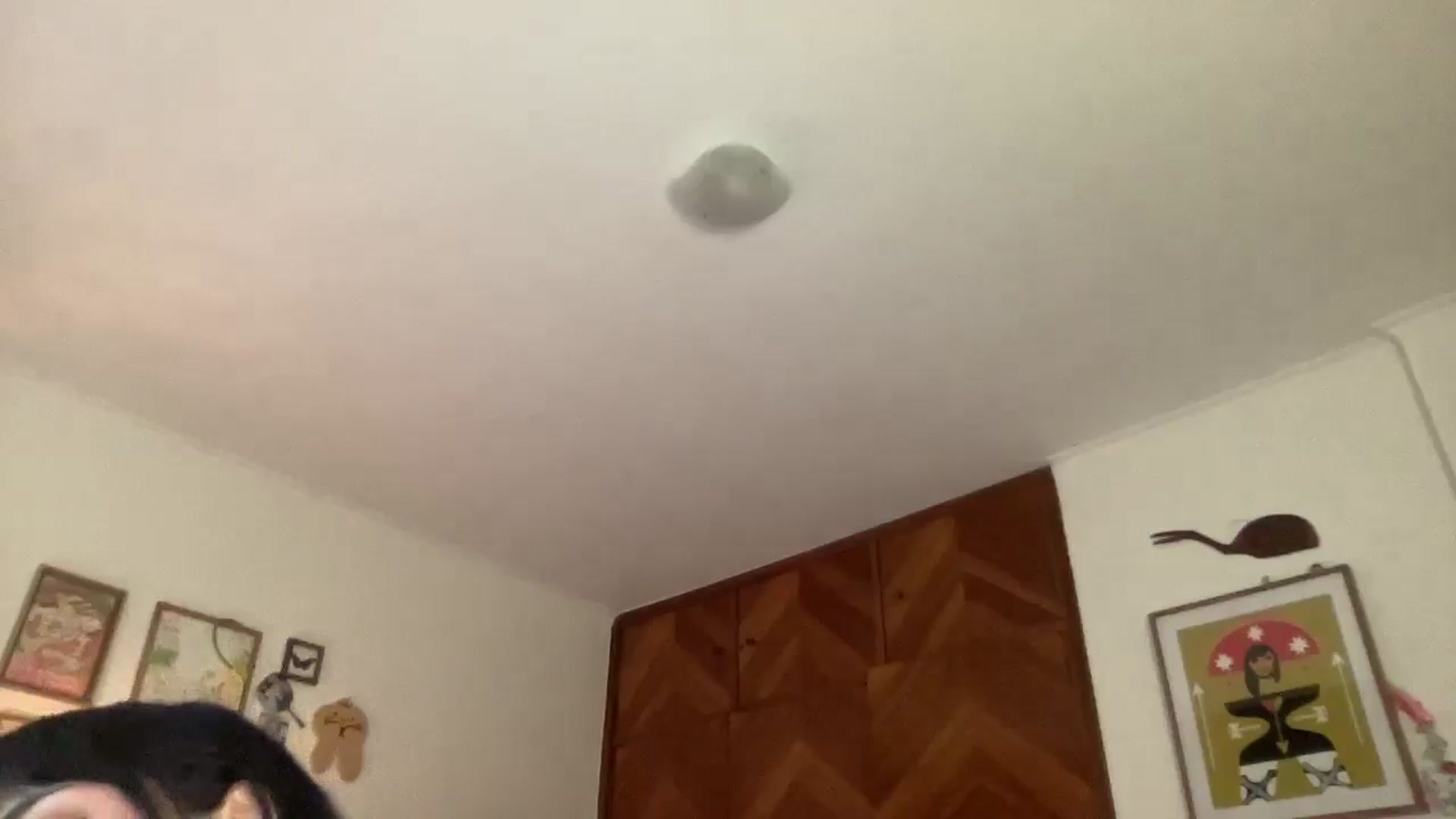 Gallery image thumbnail from LuluArtist's myfreecams stream on, 12/02/2025, 21:38 image 20 of 20