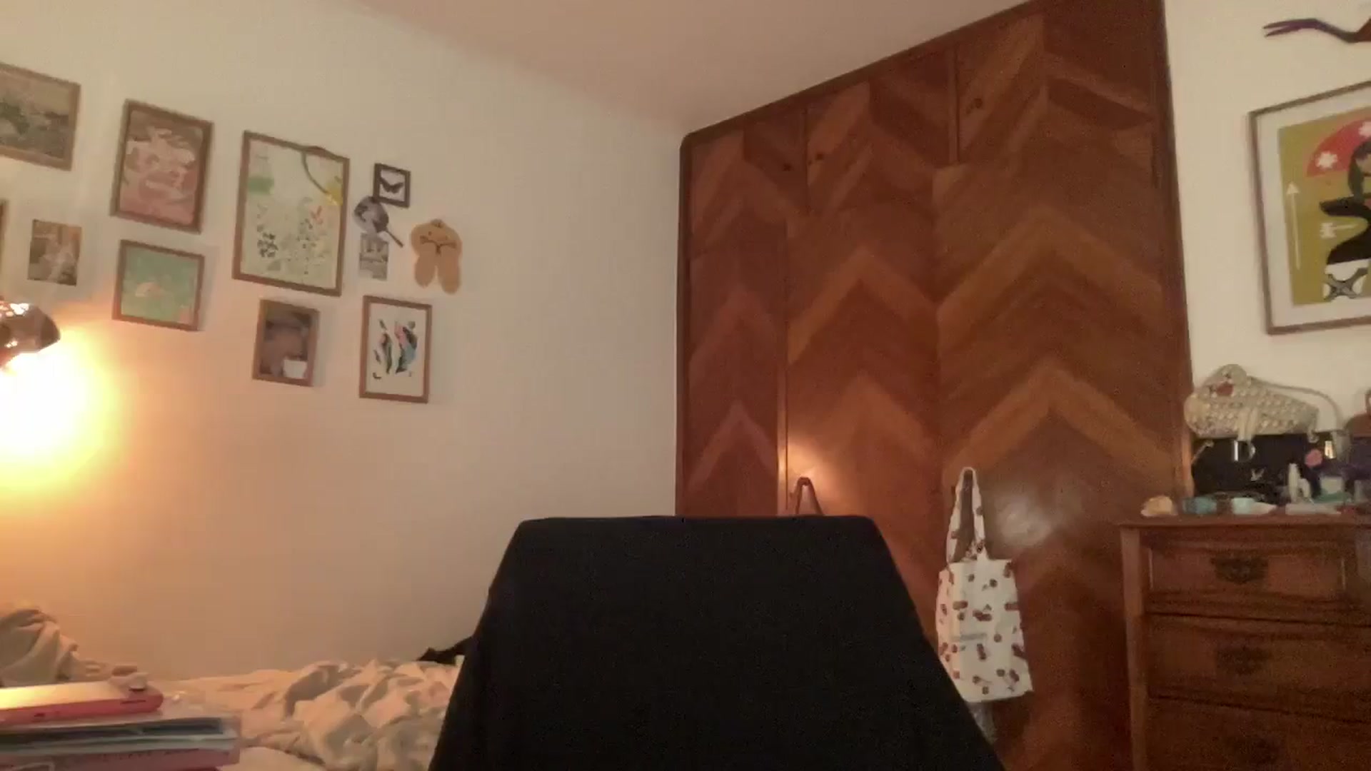 Gallery image thumbnail from LuluArtist's myfreecams stream on, 01/15/2026, 22:54 image 18 of 20