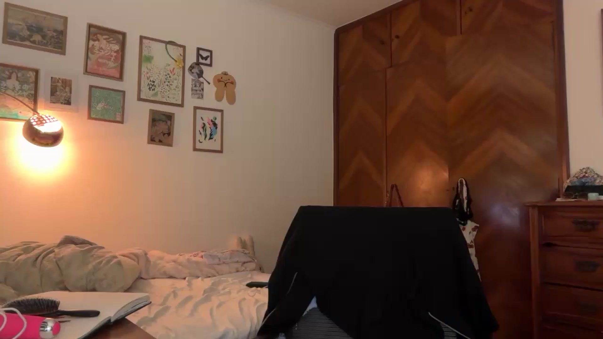 Gallery image thumbnail from LuluArtist's myfreecams stream on, 02/09/2026, 24:11 image 11 of 20