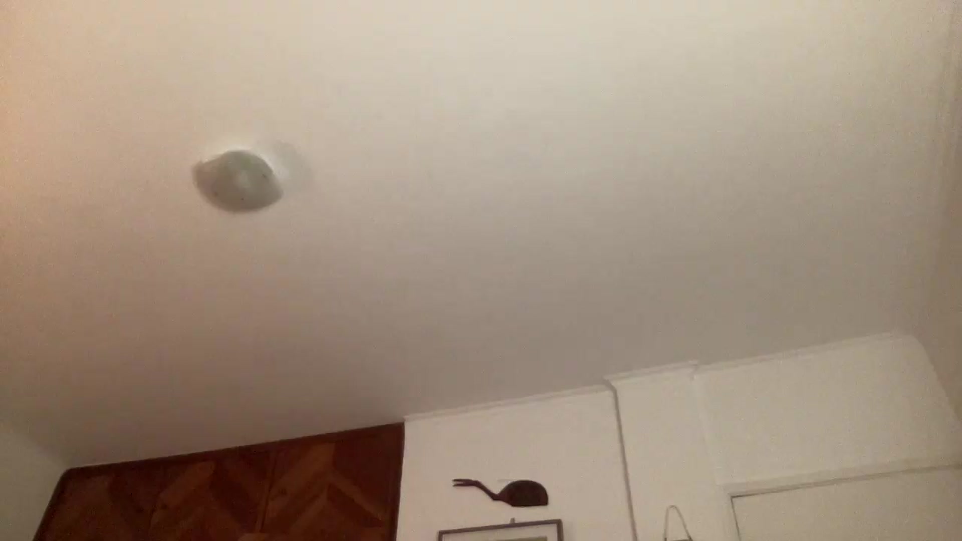 Gallery image thumbnail from LuluArtist's myfreecams stream on, 06/02/2026, 24:01 image 5 of 20