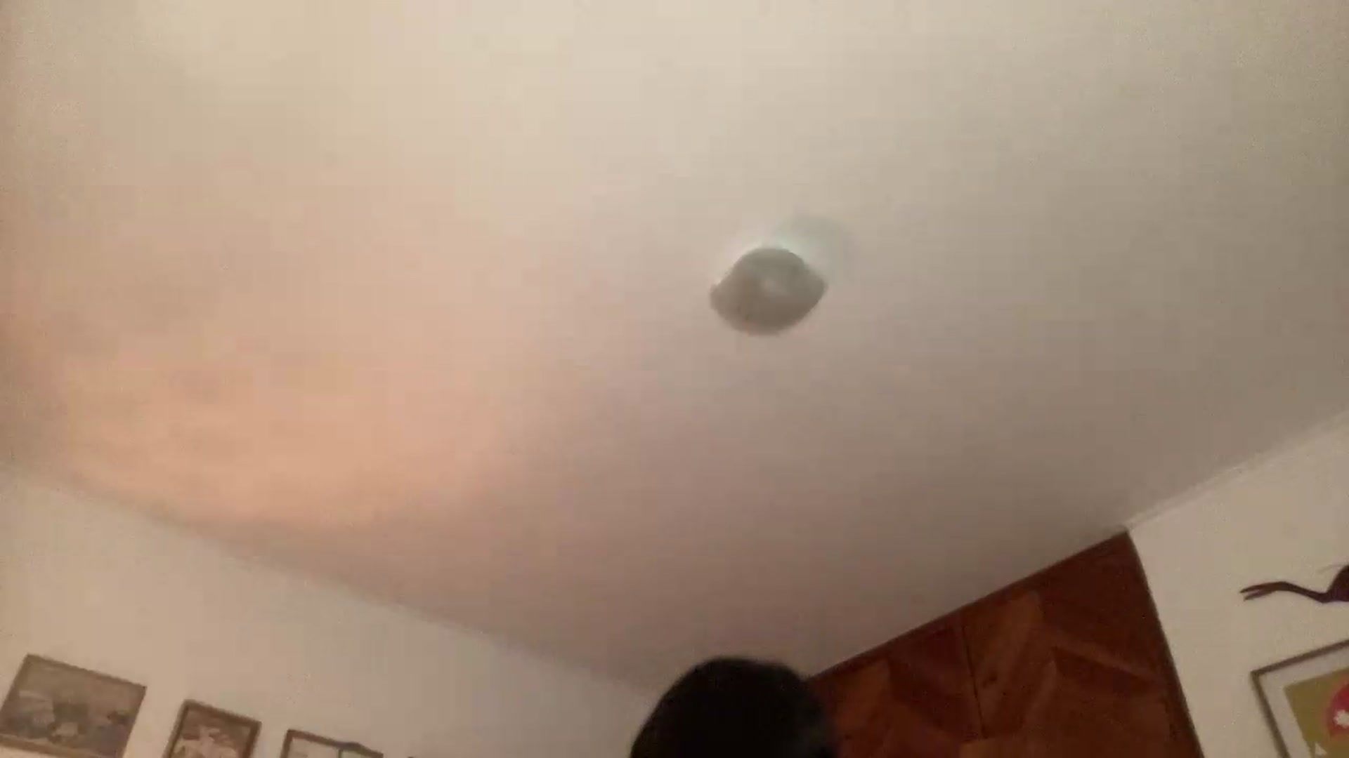Gallery image thumbnail from LuluArtist's myfreecams stream on, 06/02/2026, 24:01 image 7 of 20