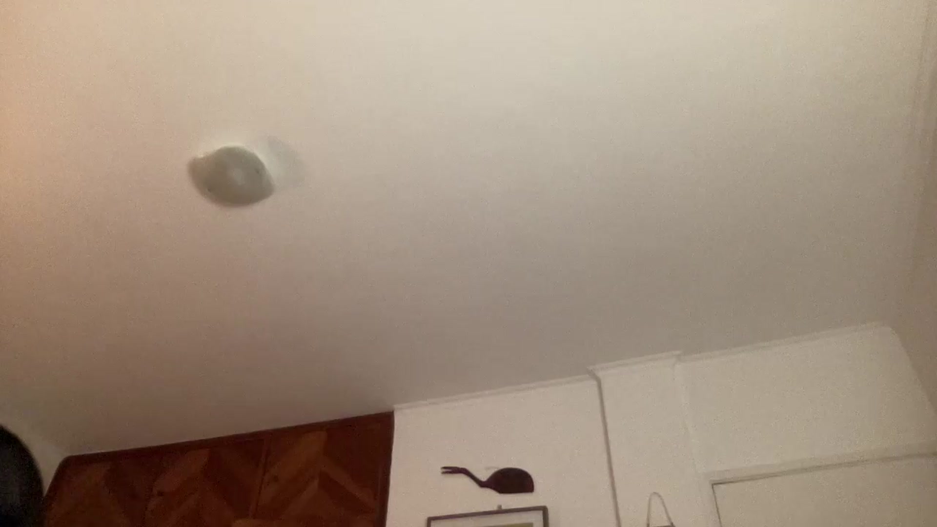 Gallery image thumbnail from LuluArtist's myfreecams stream on, 06/02/2026, 24:01 image 6 of 20
