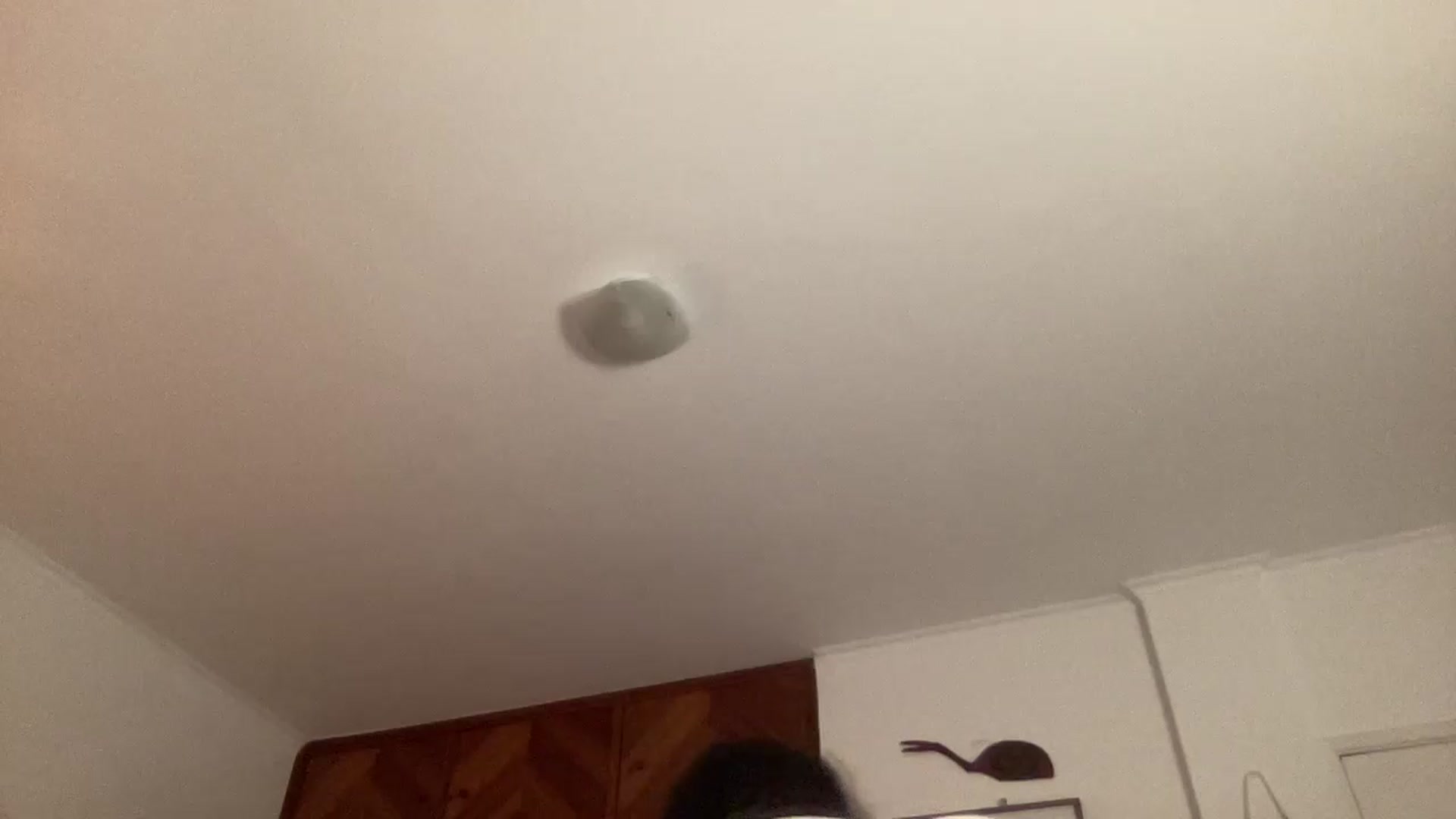 Gallery image thumbnail from LuluArtist's myfreecams stream on, 06/26/2026, 23:34 image 15 of 20