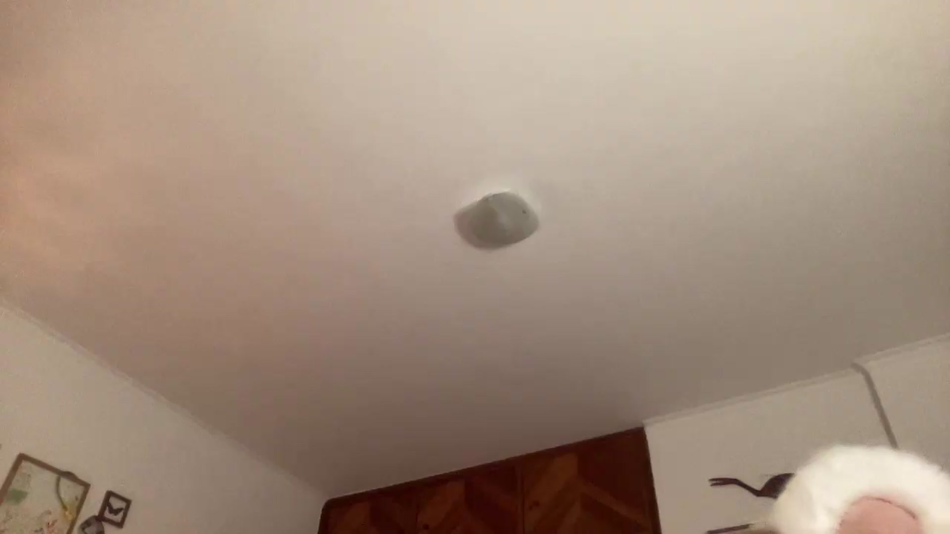 Gallery image thumbnail from LuluArtist's myfreecams stream on, 06/26/2026, 23:34 image 20 of 20