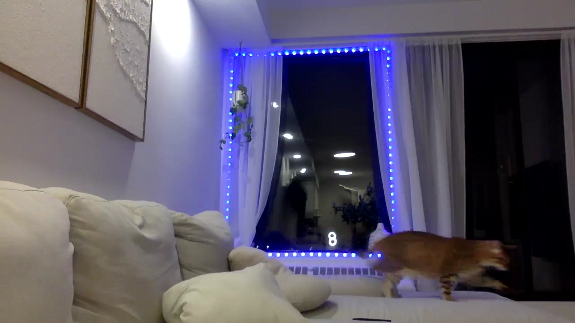 Gallery image thumbnail from LunaBanana's myfreecams stream on, 10/31/2023, 04:47 image 18 of 20