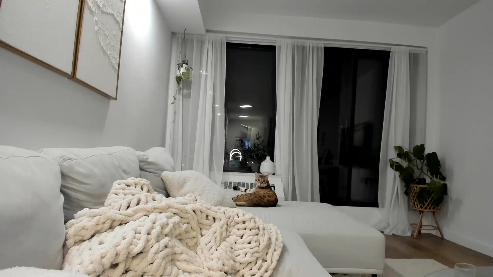 Gallery image thumbnail from LunaBanana's myfreecams stream on, 04/18/2024, 02:58 image 19 of 20
