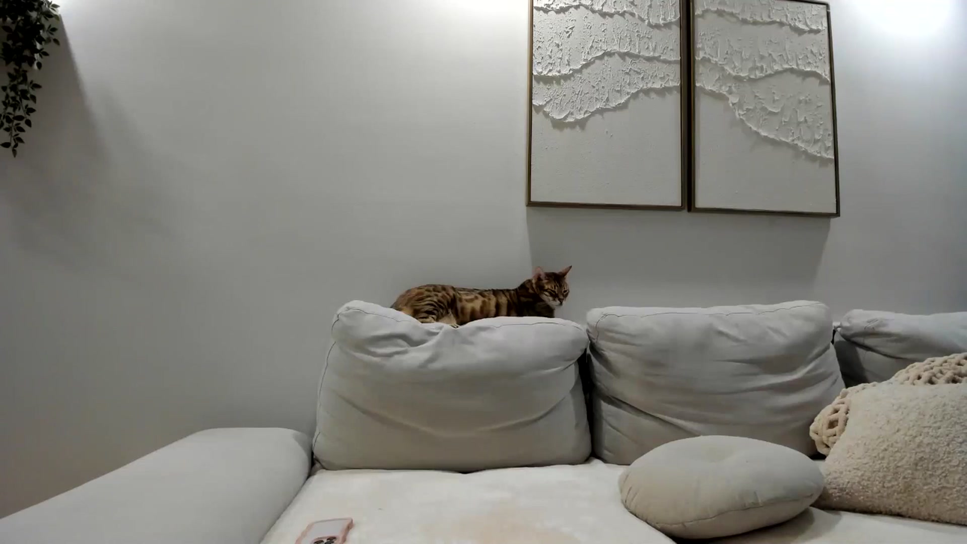 Gallery image thumbnail from LunaBanana's myfreecams stream on, 02/14/2025, 07:29 image 12 of 20