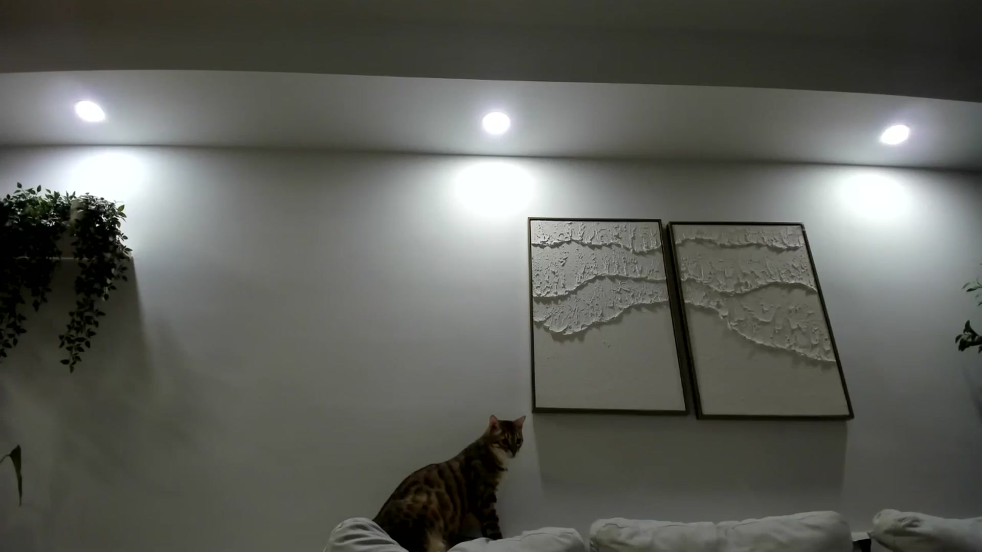 Gallery image thumbnail from LunaBanana's myfreecams stream on, 07/11/2025, 04:45 image 16 of 20