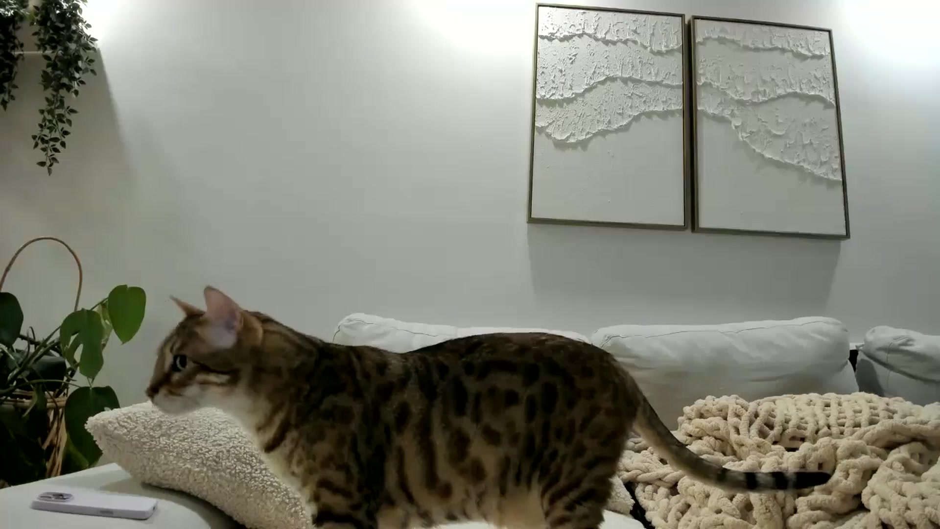 Gallery image thumbnail from LunaBanana's myfreecams stream on, 09/07/2025, 03:56 image 9 of 20