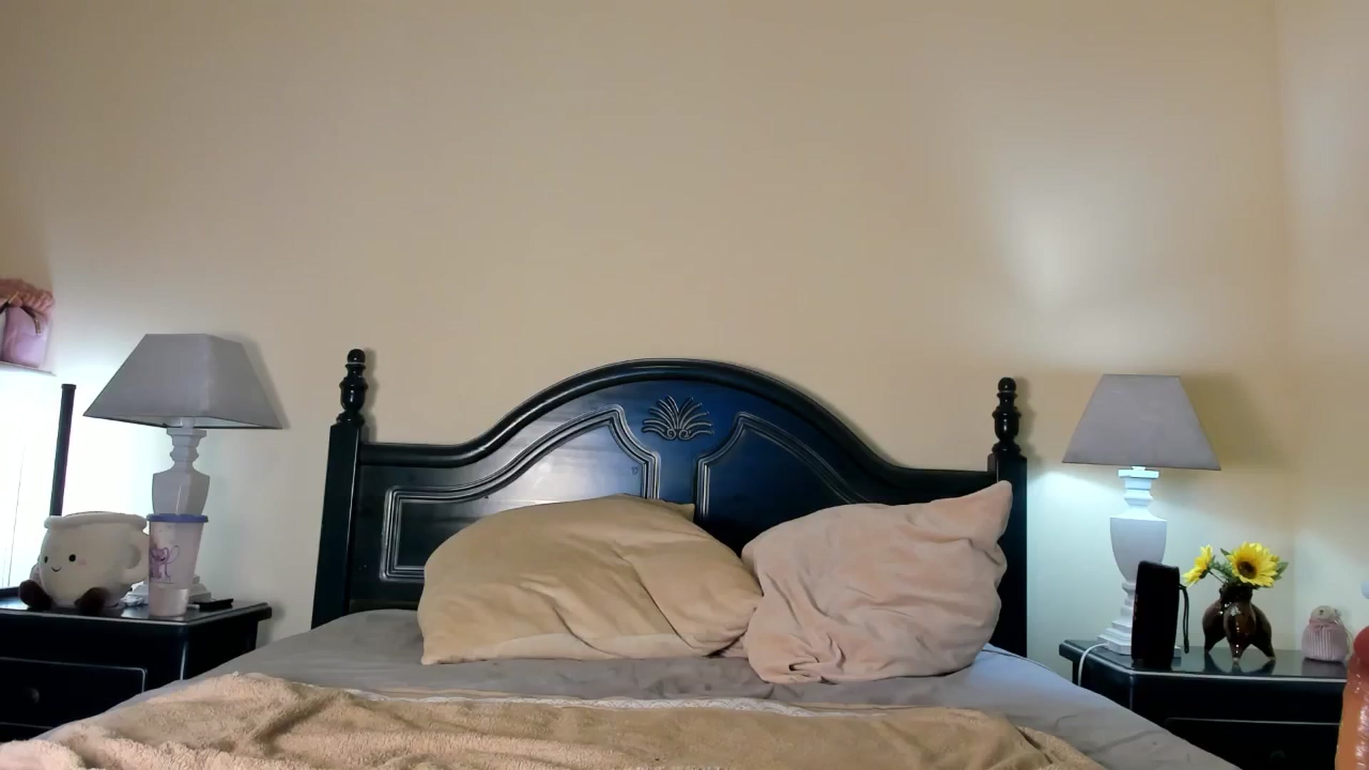 Gallery image thumbnail from LunaMystyque's myfreecams stream on, 01/04/2025, 24:01 image 13 of 20