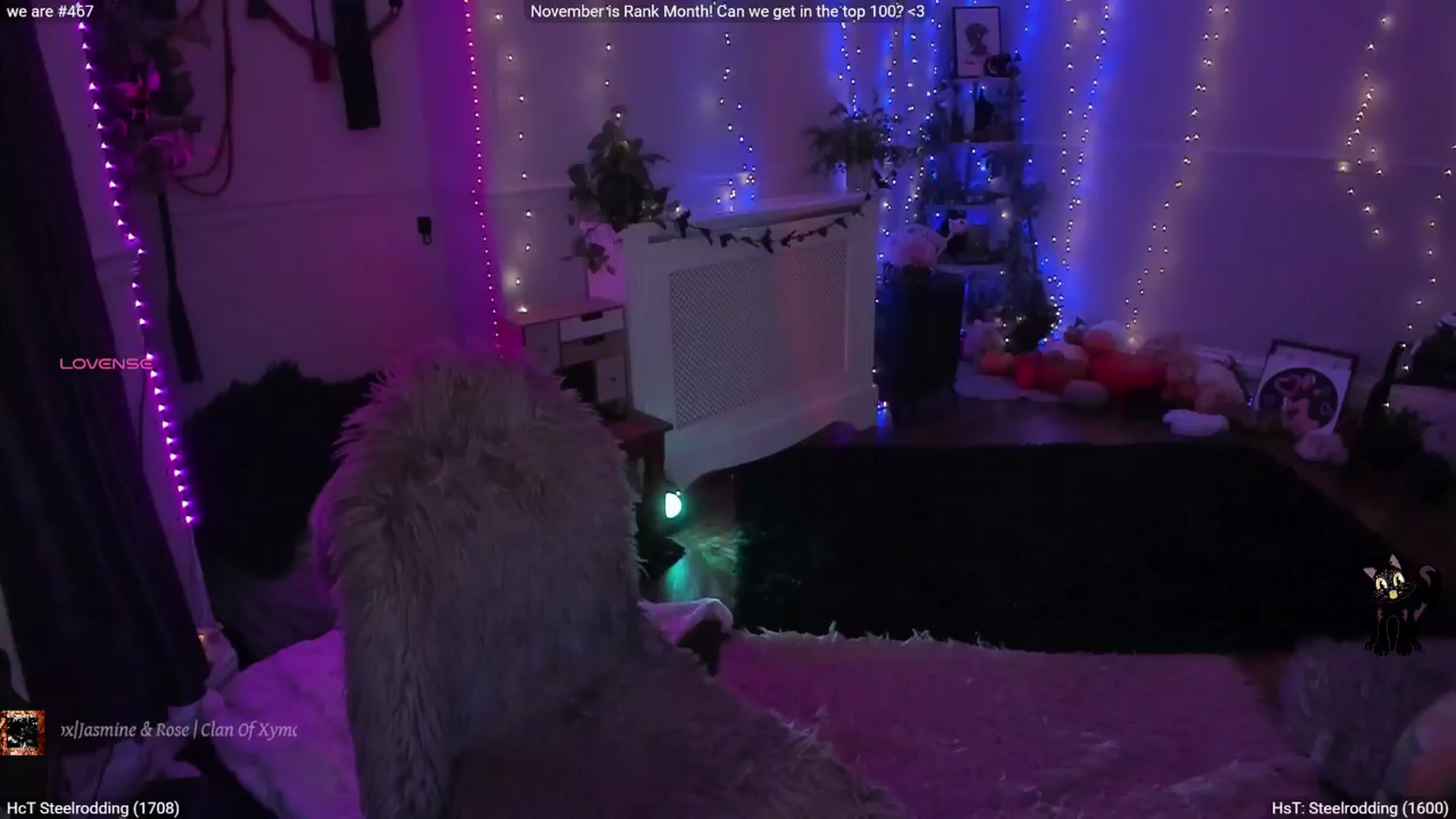 Gallery image thumbnail from LunaWolfie's myfreecams stream on, 11/16/2025, 01:45 image 20 of 20