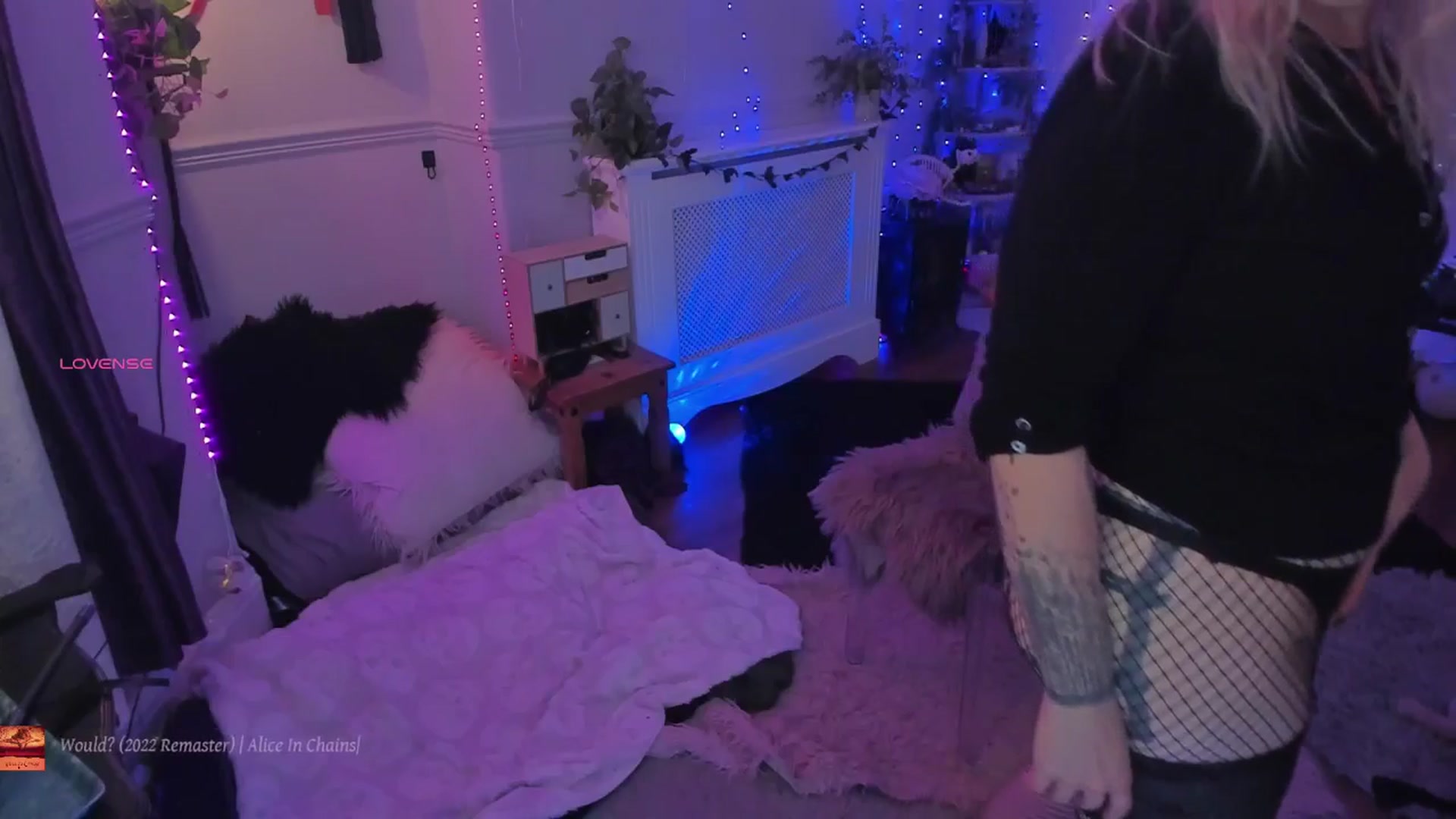 Gallery image thumbnail from LunaWolfie's myfreecams stream on, 11/17/2025, 23:38 image 11 of 20