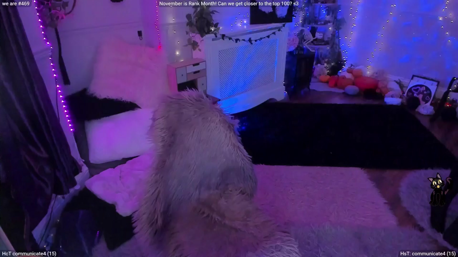 Gallery image thumbnail from LunaWolfie's myfreecams stream on, 11/28/2025, 17:34 image 14 of 20