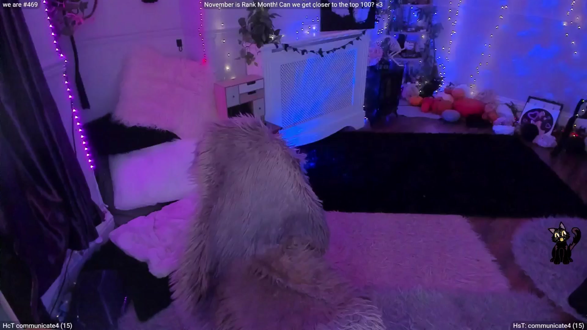 Gallery image thumbnail from LunaWolfie's myfreecams stream on, 11/28/2025, 17:34 image 13 of 20