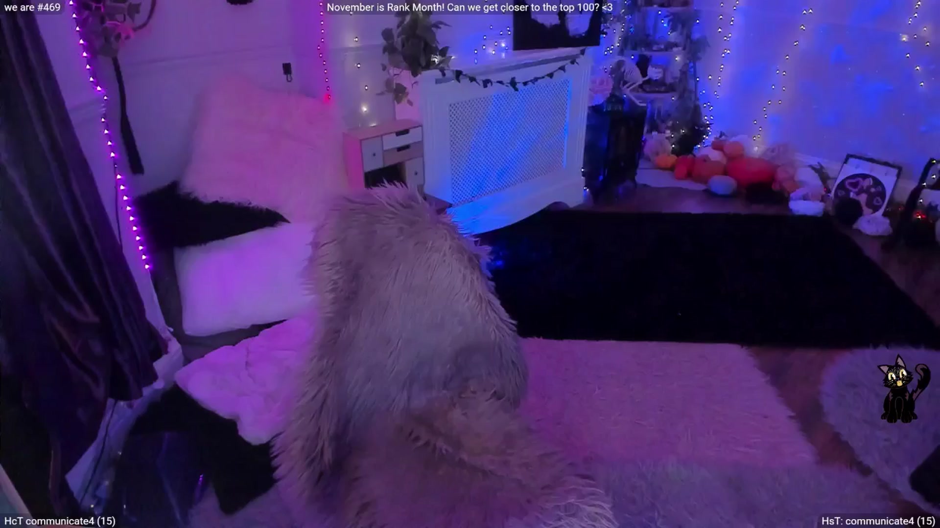 Gallery image thumbnail from LunaWolfie's myfreecams stream on, 11/28/2025, 17:34 image 12 of 20