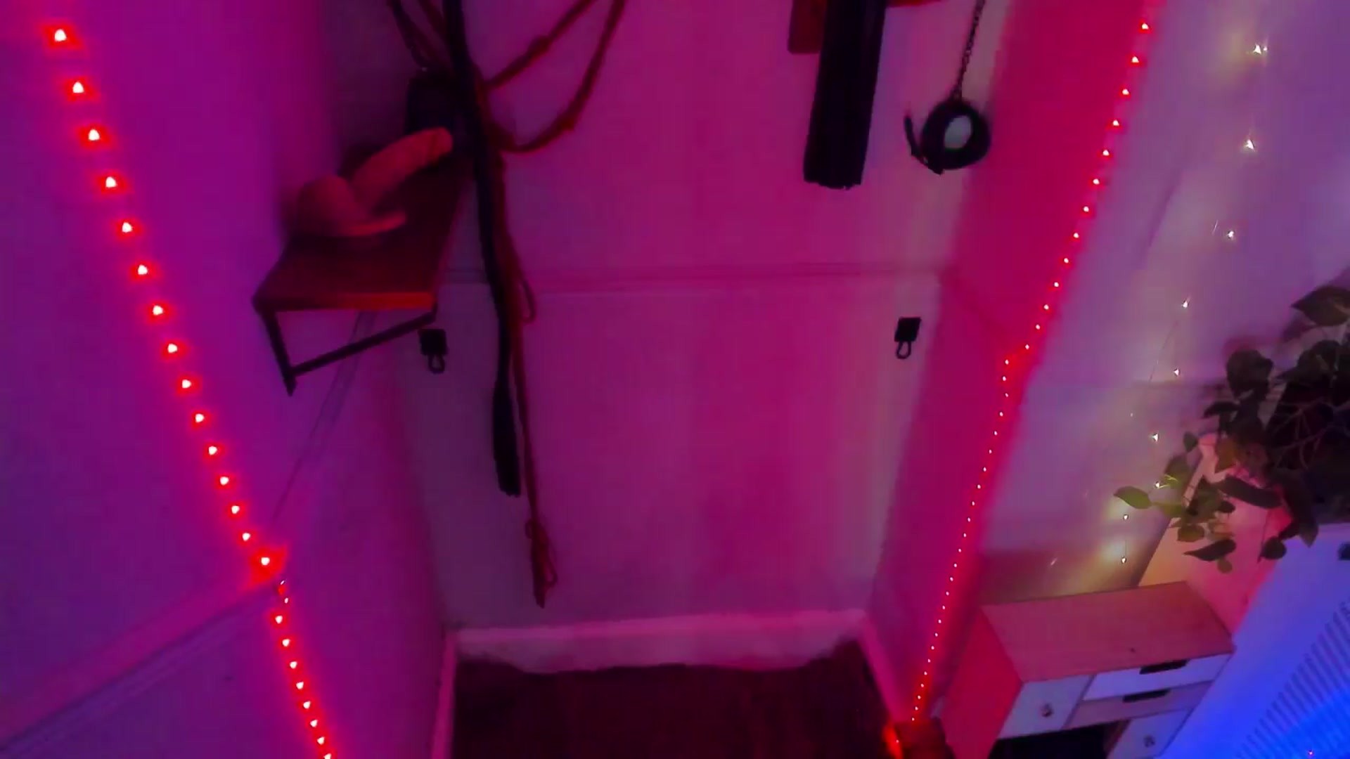 Gallery image thumbnail from LunaWolfie's myfreecams stream on, 11/30/2025, 03:18 image 20 of 20