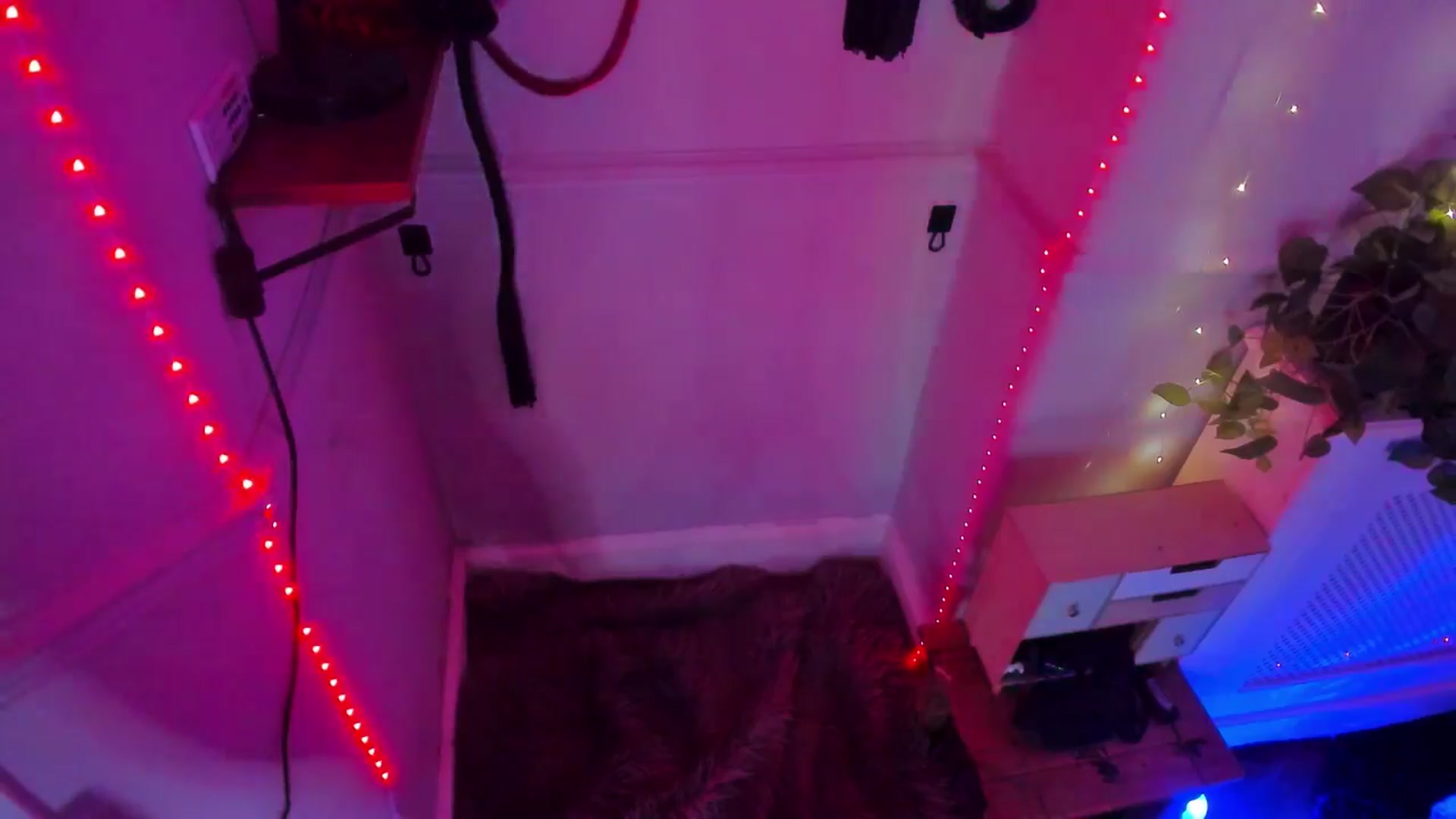 Gallery image thumbnail from LunaWolfie's myfreecams stream on, 11/30/2025, 03:18 image 12 of 20