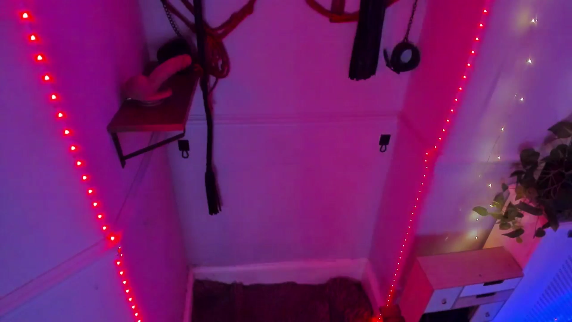 Gallery image thumbnail from LunaWolfie's myfreecams stream on, 11/30/2025, 03:18 image 18 of 20
