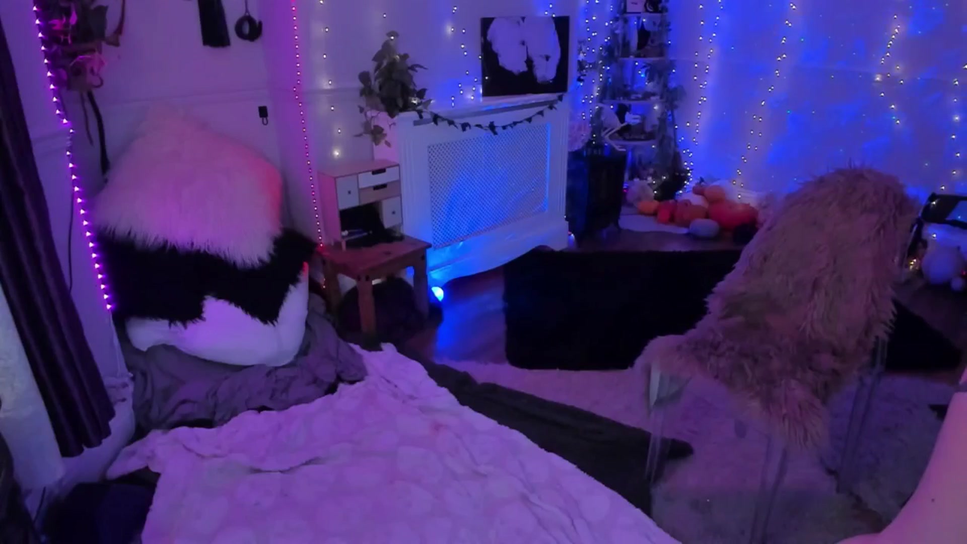Gallery image thumbnail from LunaWolfie's myfreecams stream on, 12/02/2025, 23:31 image 14 of 20