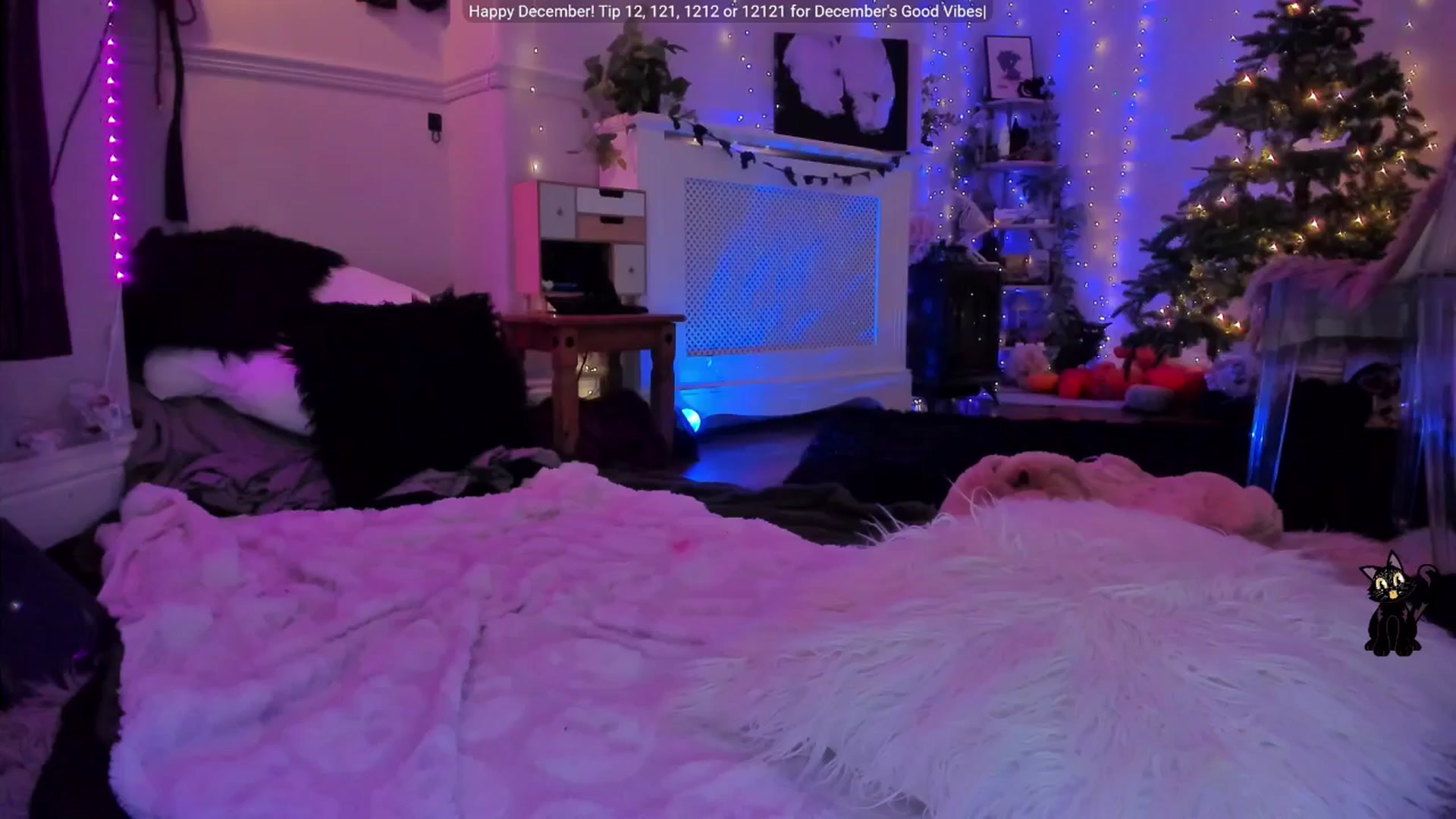 Gallery image thumbnail from LunaWolfie's myfreecams stream on, 12/05/2025, 17:56 image 16 of 20