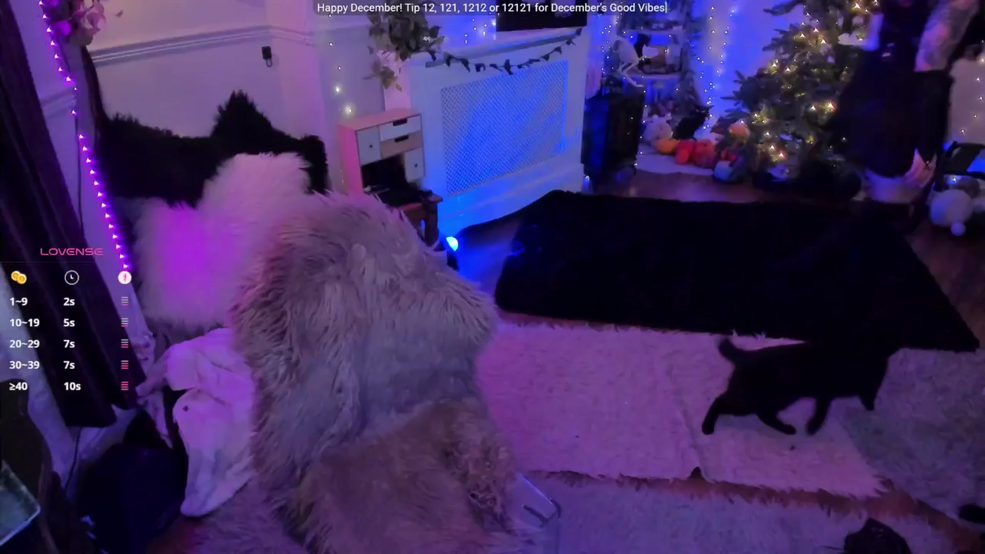 Gallery image thumbnail from LunaWolfie's myfreecams stream on, 12/09/2025, 20:45 image 13 of 20