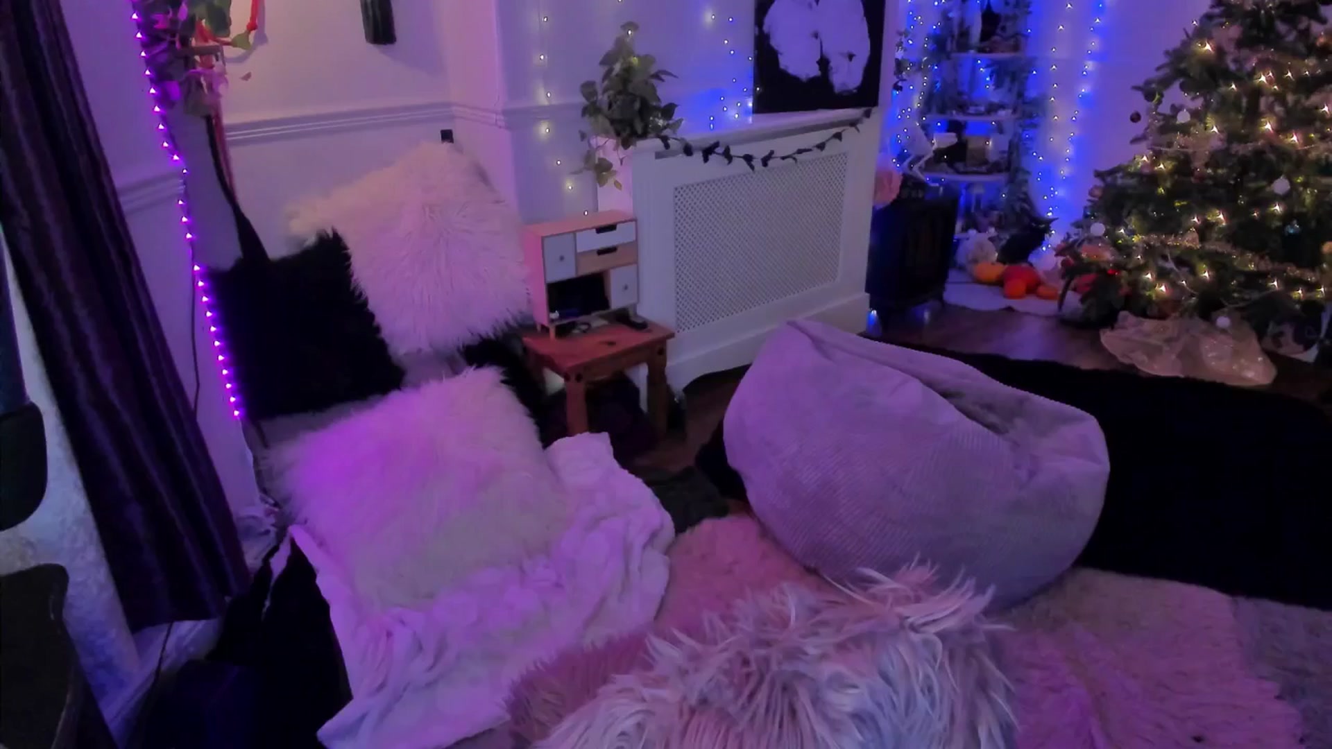 Gallery image thumbnail from LunaWolfie's myfreecams stream on, 12/16/2025, 23:31 image 20 of 20