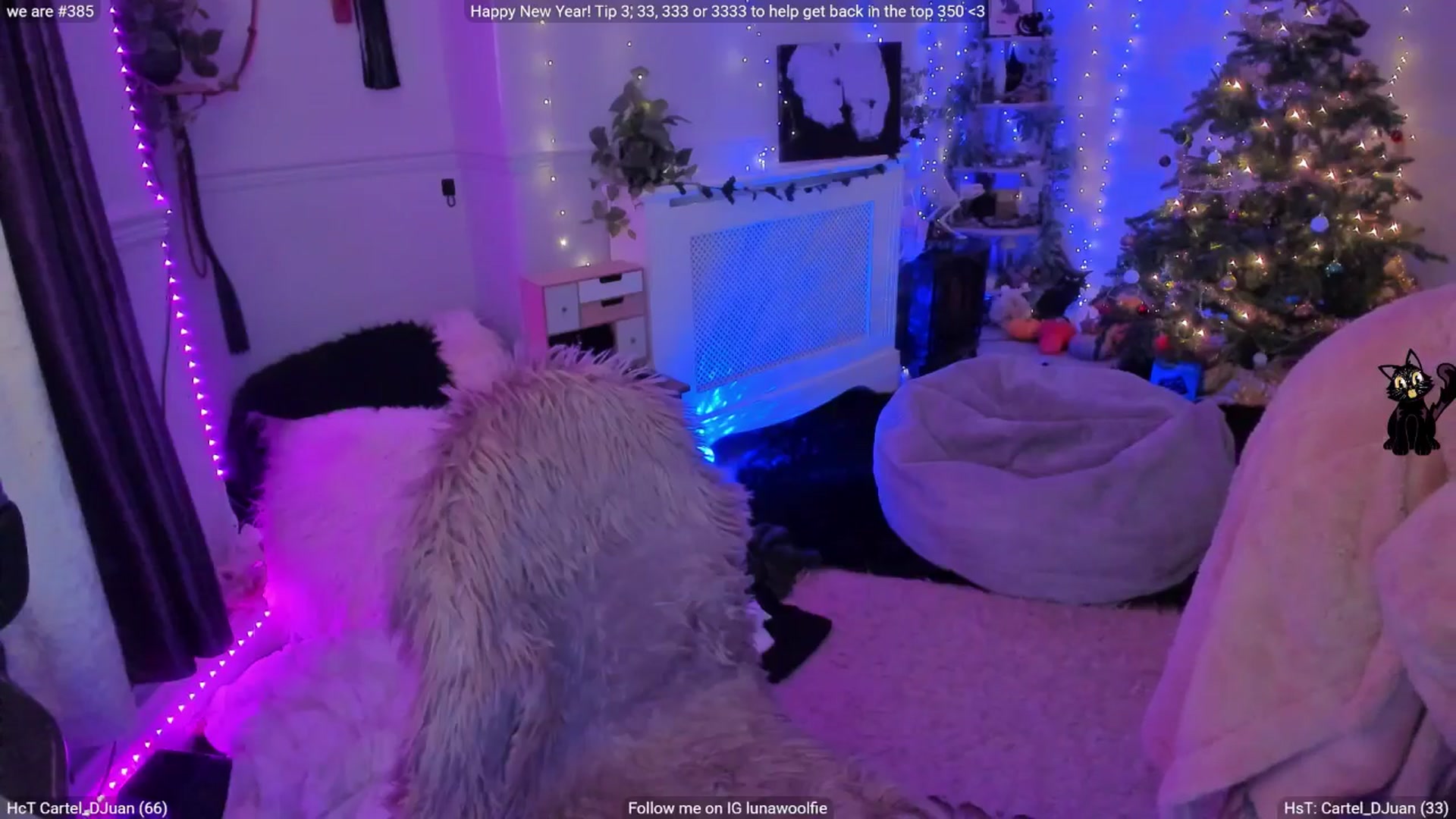 Gallery image thumbnail from LunaWolfie's myfreecams stream on, 01/07/2026, 18:53 image 16 of 20