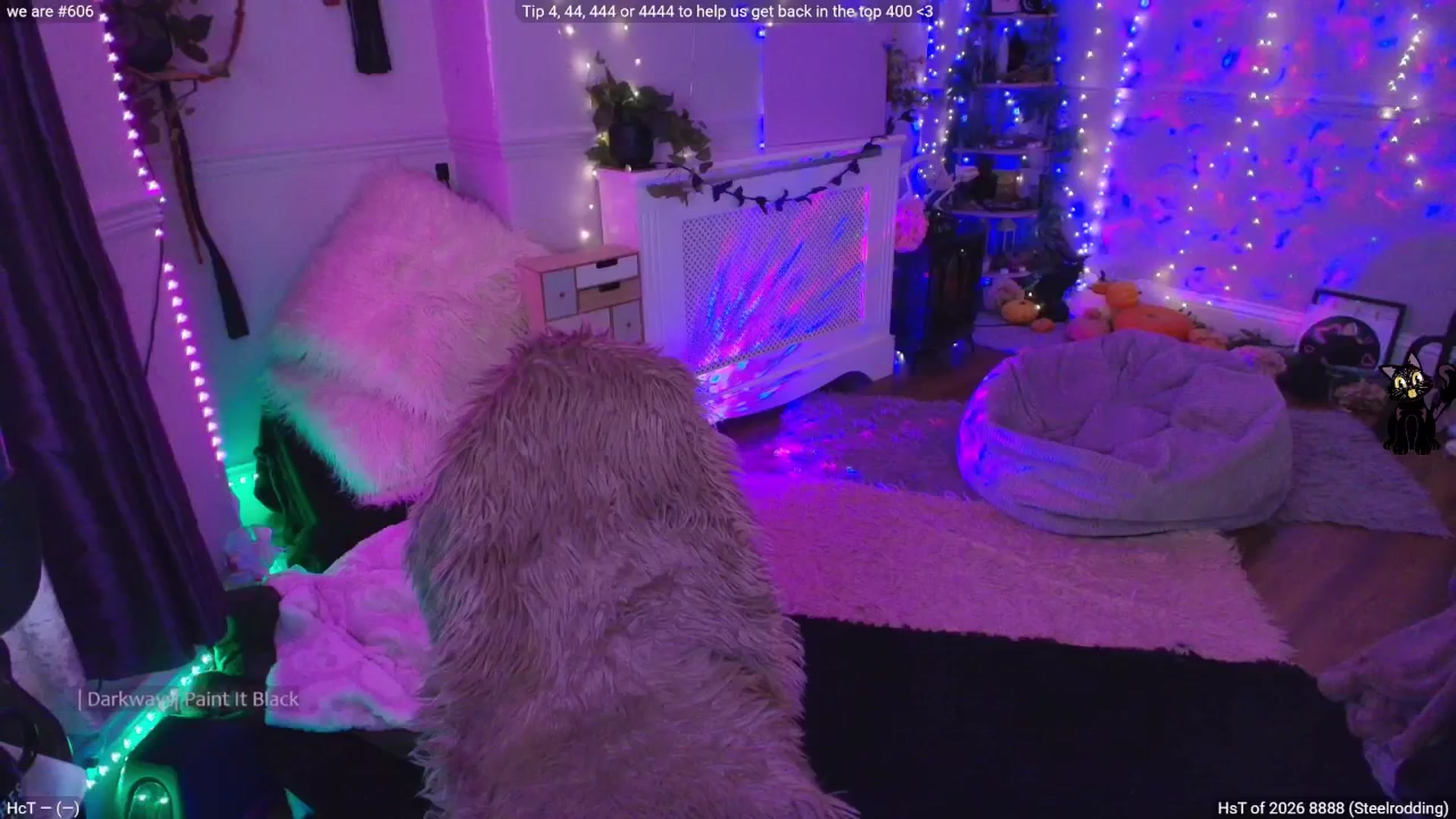 Gallery image thumbnail from LunaWolfie's myfreecams stream on, 02/28/2026, 21:14 image 3 of 20