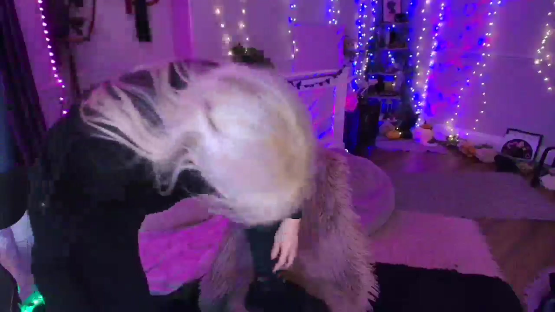 Gallery image thumbnail from LunaWolfie's myfreecams stream on, 03/17/2026, 19:30 image 7 of 20