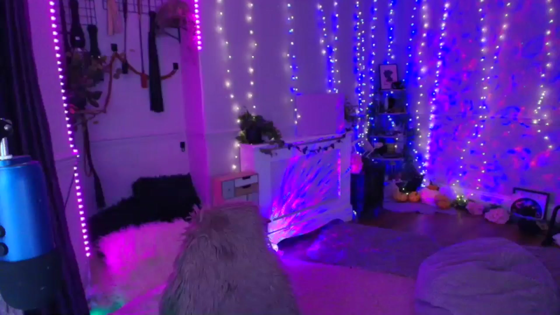 Gallery image thumbnail from LunaWolfie's myfreecams stream on, 04/04/2026, 19:57 image 8 of 20