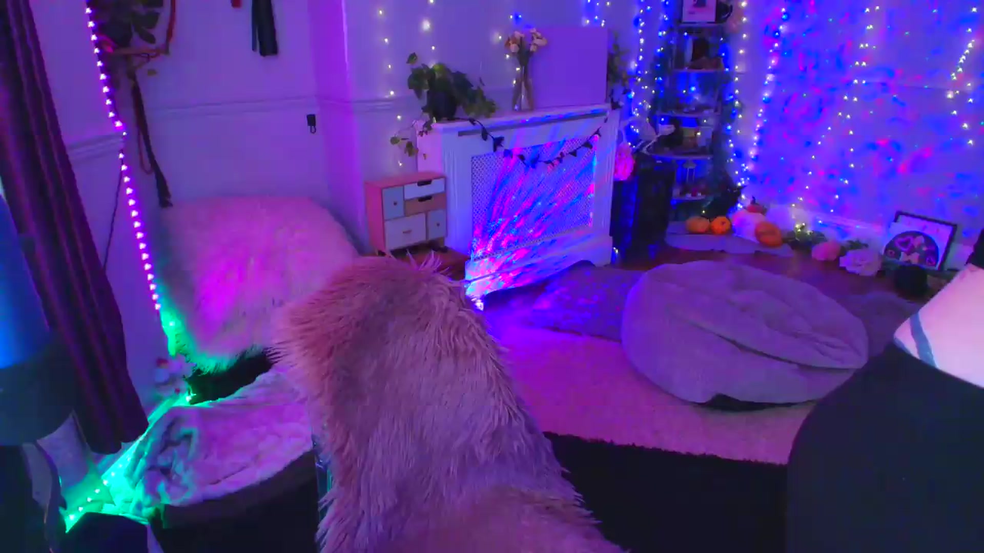 Gallery image thumbnail from LunaWolfie's myfreecams stream on, 04/24/2026, 19:03 image 1 of 20