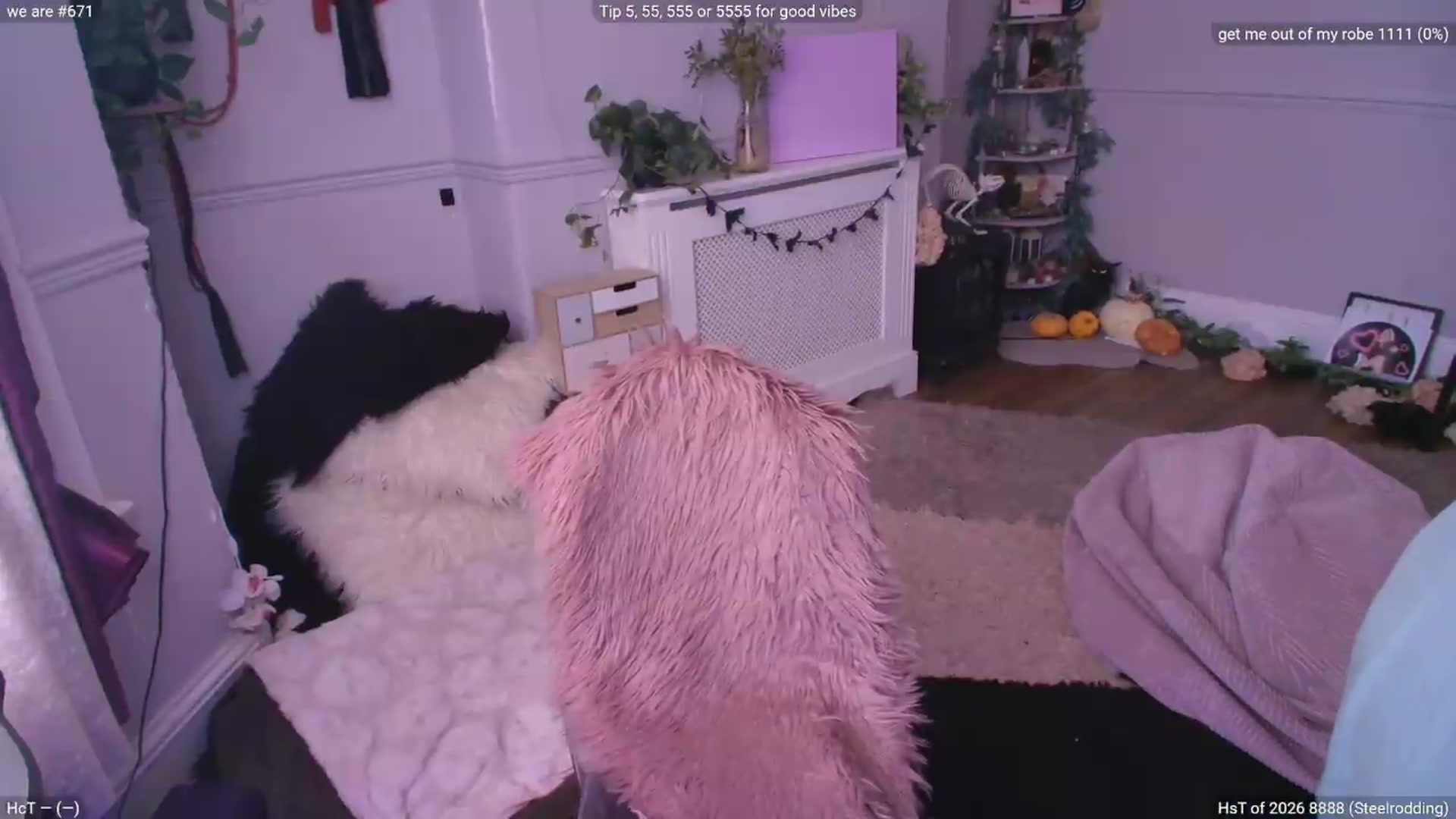 Gallery image thumbnail from LunaWolfie's myfreecams stream on, 05/29/2026, 11:18 image 8 of 20