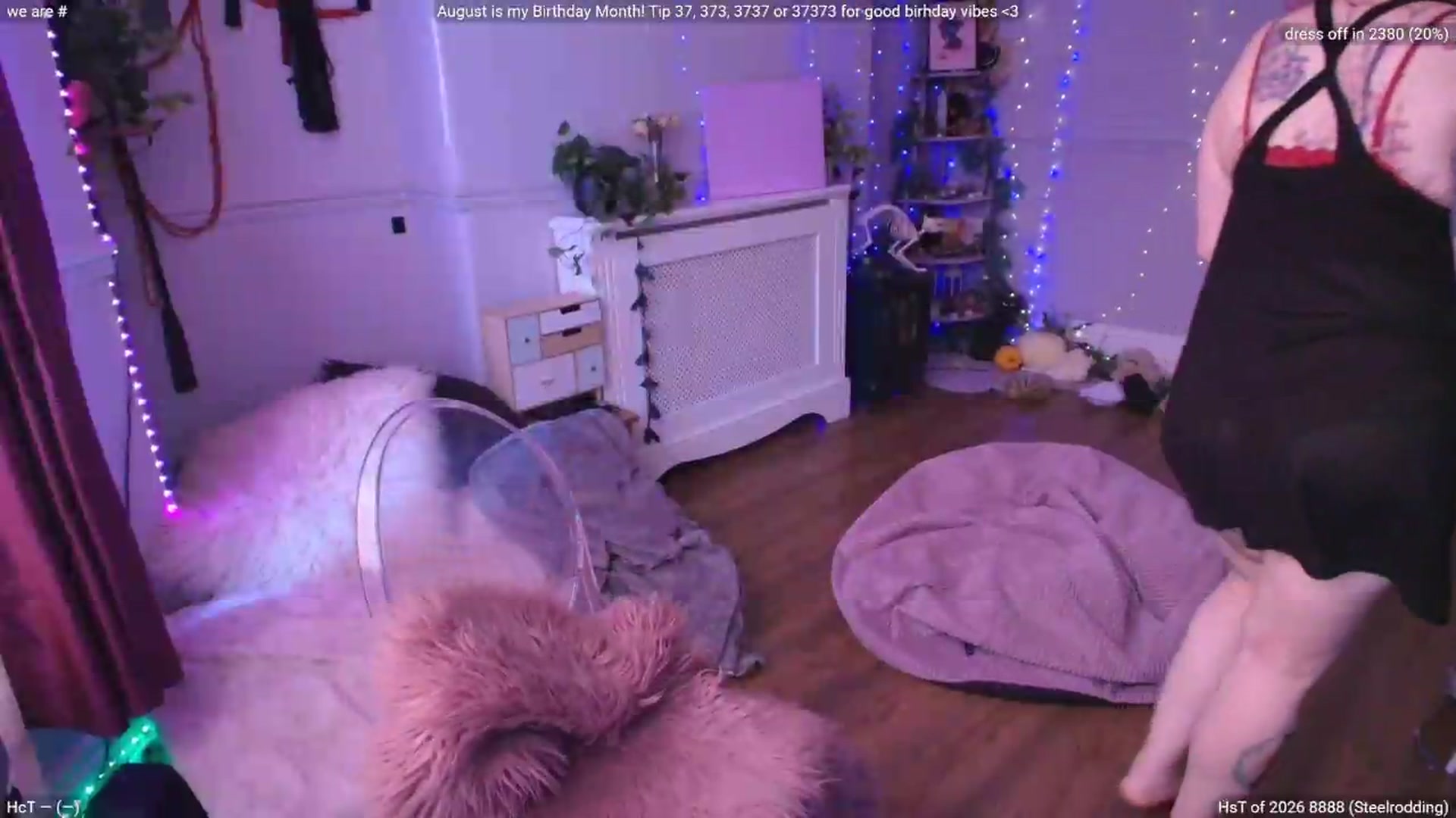 Gallery image thumbnail from LunaWolfie's myfreecams stream on, 08/01/2026, 11:21 image 14 of 20