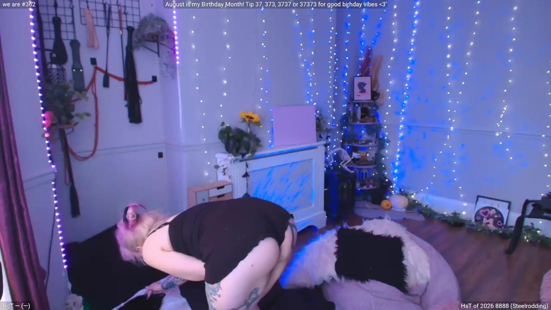 Gallery image thumbnail from LunaWolfie's myfreecams stream on, 08/09/2026, 12:32 image 15 of 20