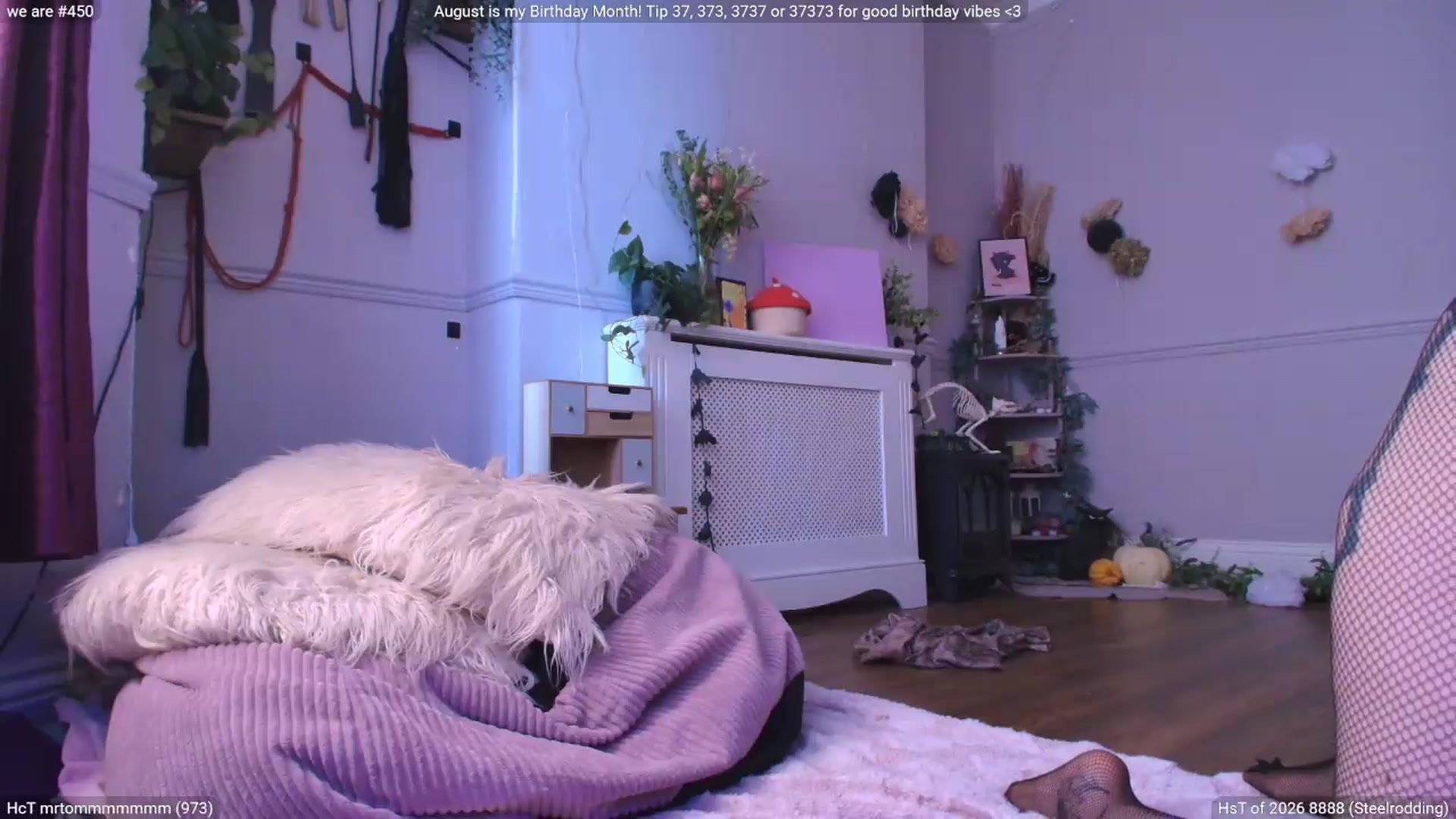 Gallery image thumbnail from LunaWolfie's myfreecams stream on, 08/24/2026, 14:50 image 19 of 20