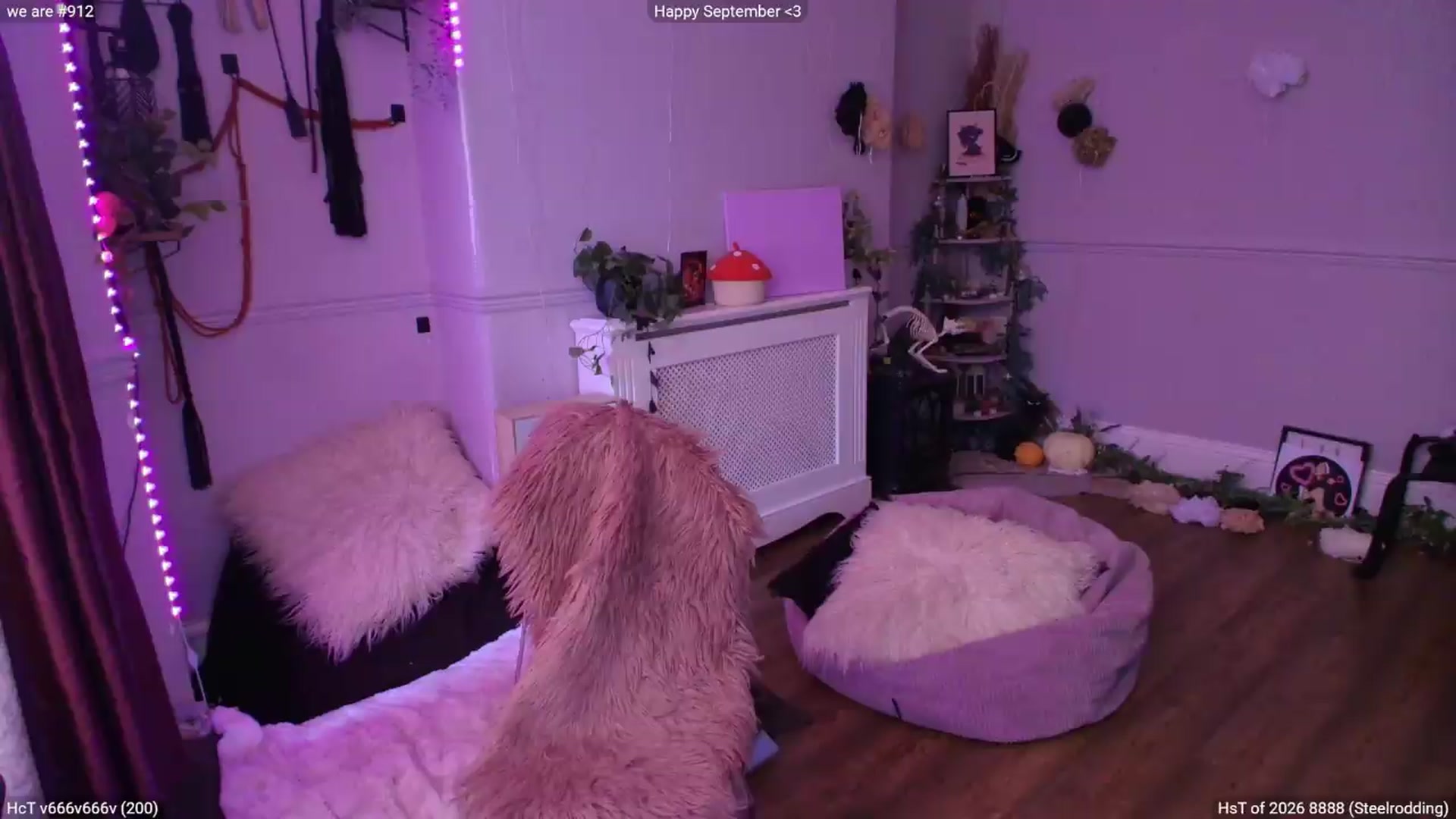 Gallery image thumbnail from LunaWolfie's myfreecams stream on, 09/01/2026, 17:10 image 4 of 20