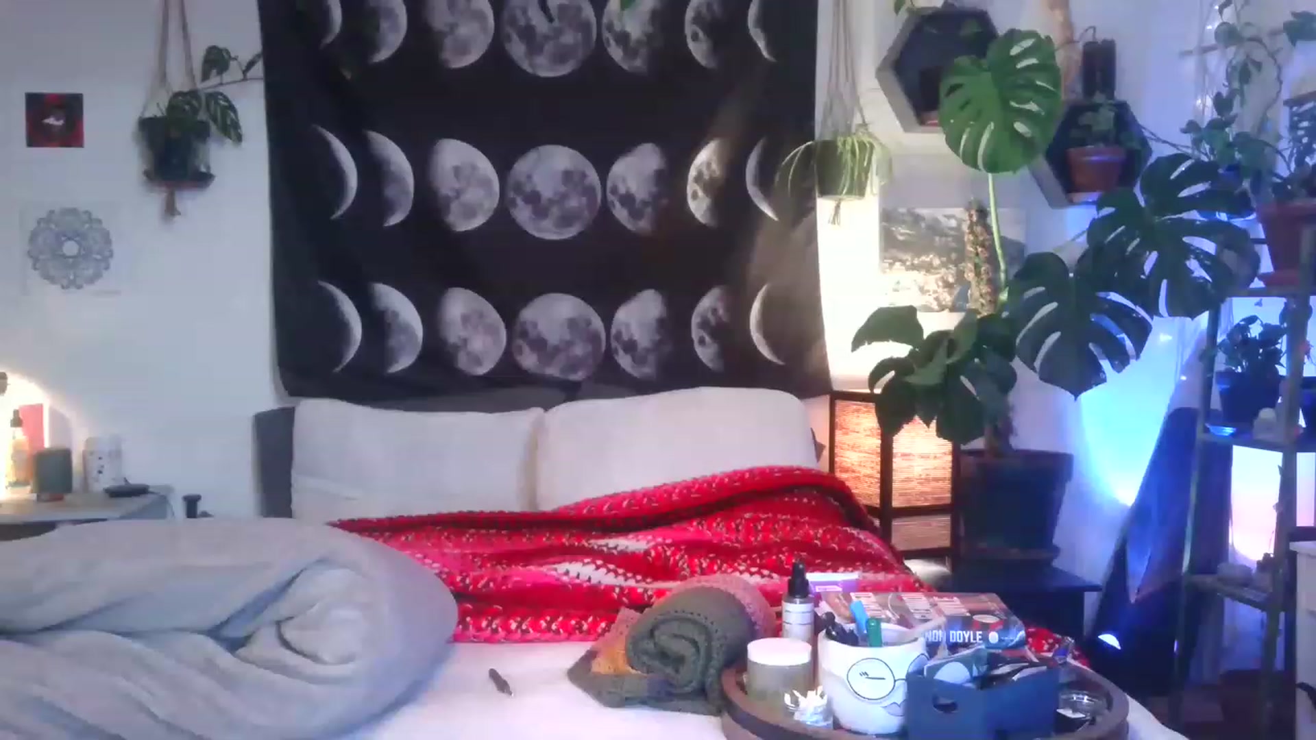 Gallery image thumbnail from LunarLexxx's myfreecams stream on, 04/24/2023, 08:10 image 8 of 20