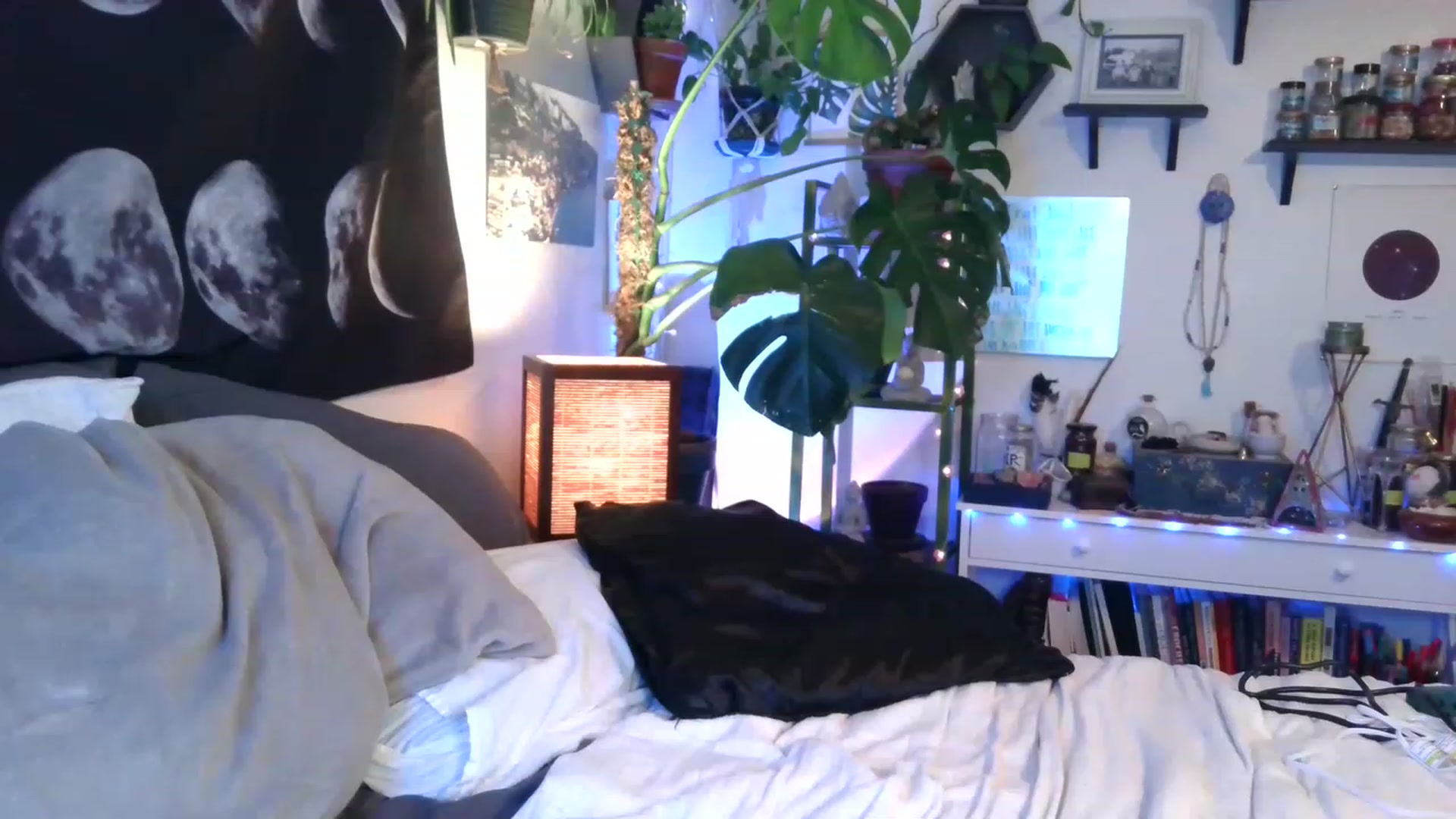 Gallery image thumbnail from LunarLexxx's myfreecams stream on, 05/03/2023, 07:28 image 8 of 20