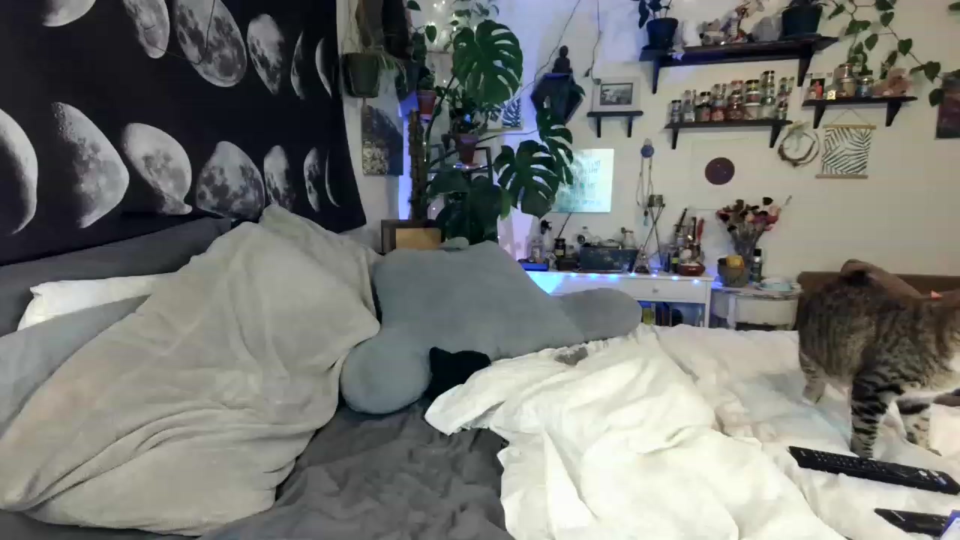 Gallery image thumbnail from LunarLexxx's myfreecams stream on, 05/06/2023, 12:28 image 1 of 20
