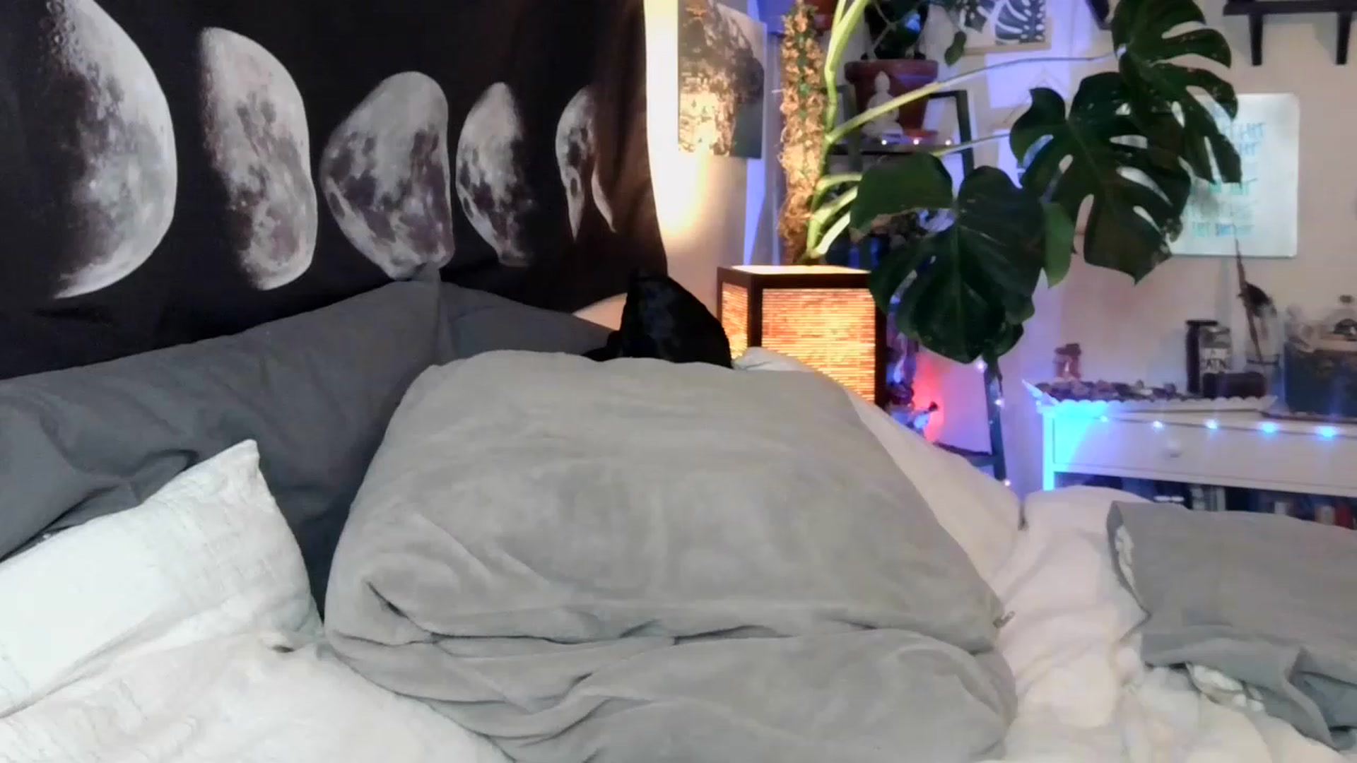 Gallery image thumbnail from LunarLexxx's myfreecams stream on, 05/14/2023, 10:18 image 8 of 20