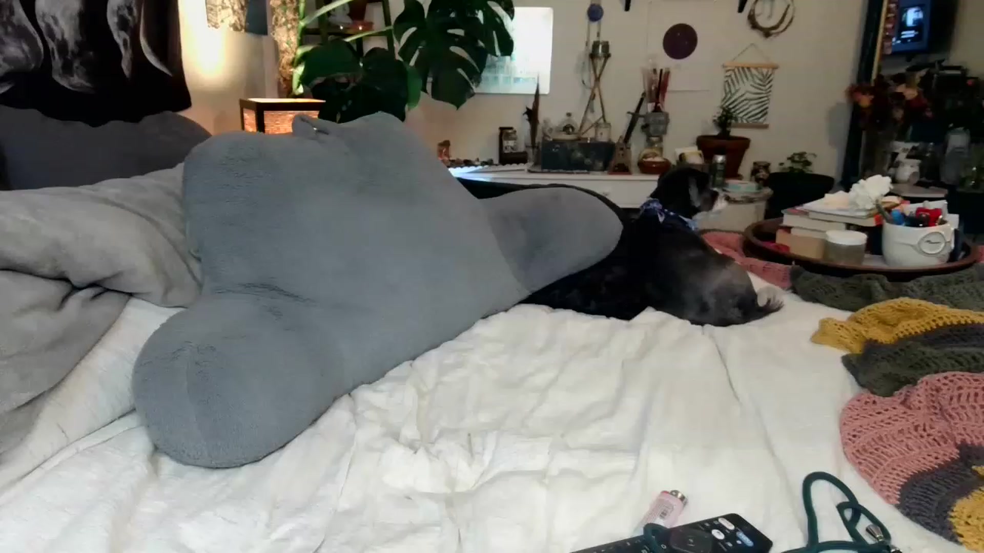 Gallery image thumbnail from LunarLexxx's myfreecams stream on, 05/17/2023, 09:19 image 1 of 20